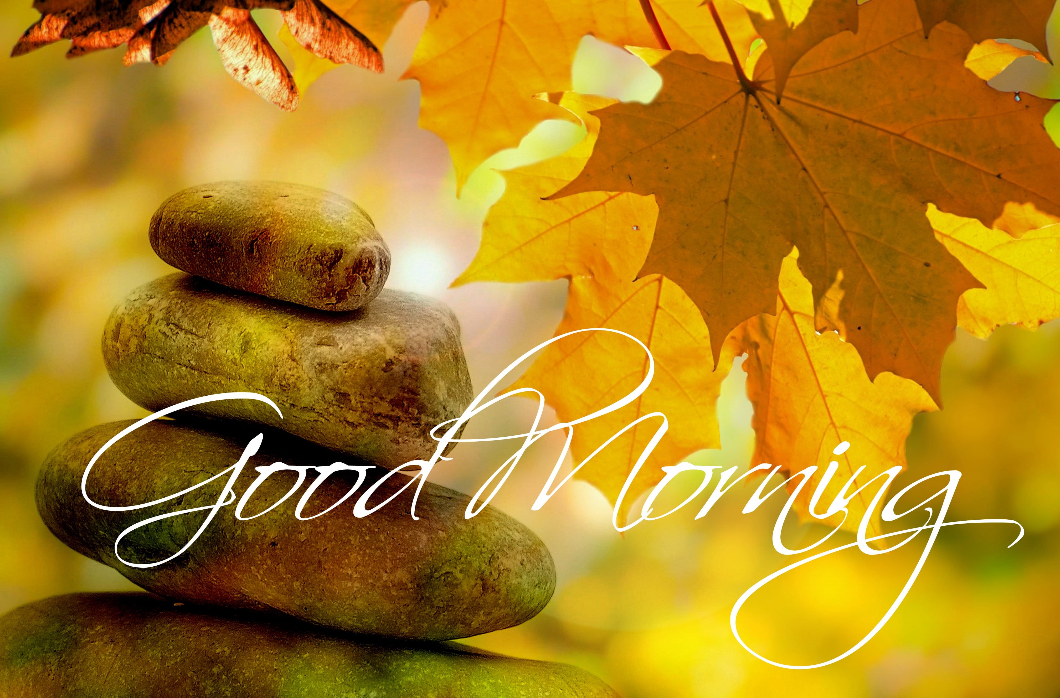 greeting, maple, nature, healthy eating, branch, plant, outdoors, fruit, indoors, tree, no people, text, good, good morning, meditation, close-up, stone, HD Wallpaper