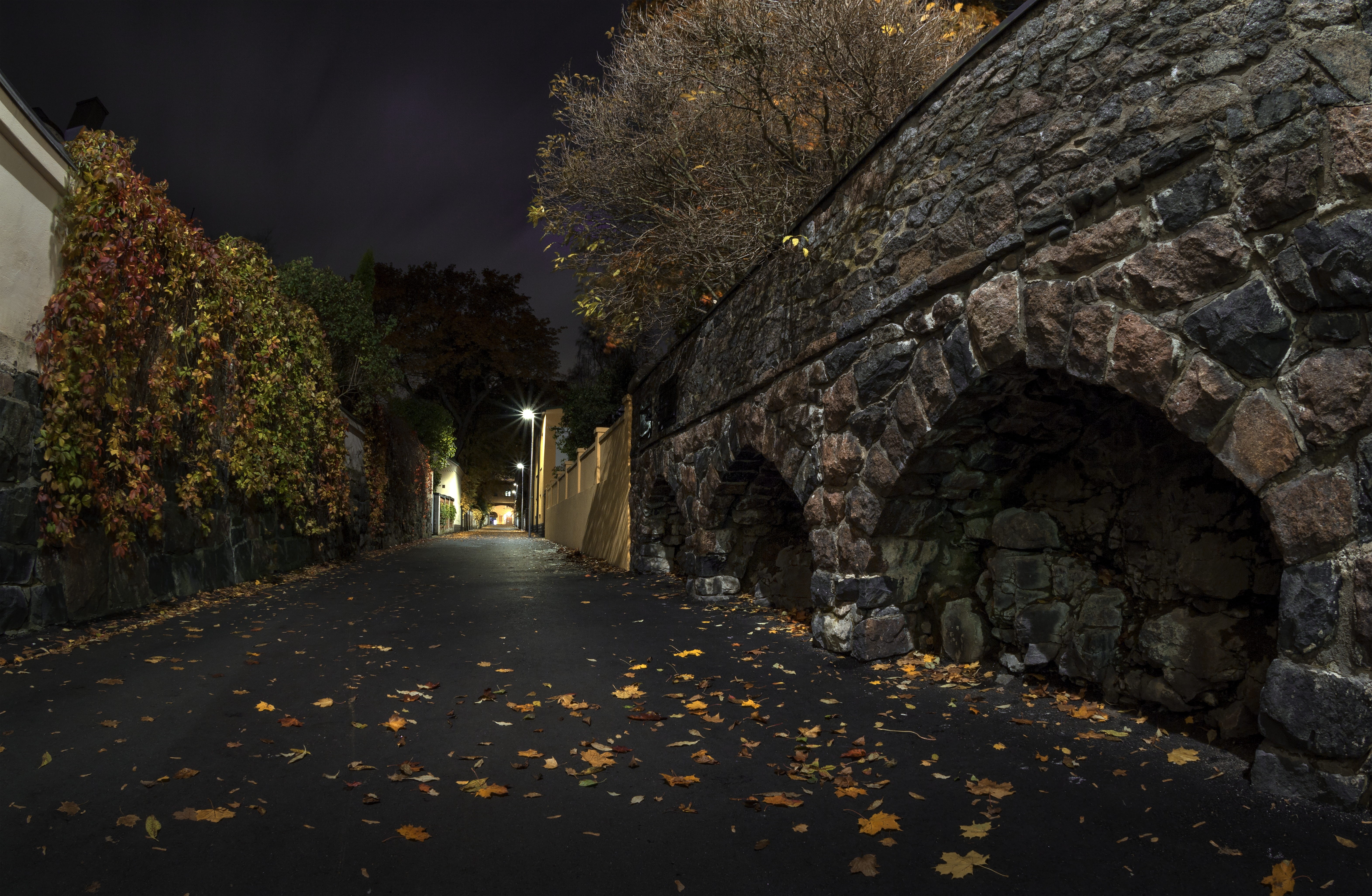 gray, tree, night, leaf, trees, diminishing perspective, nature, growth, building exterior, street, wall, road, direction, the way forward, footpath, no people, HD Wallpaper