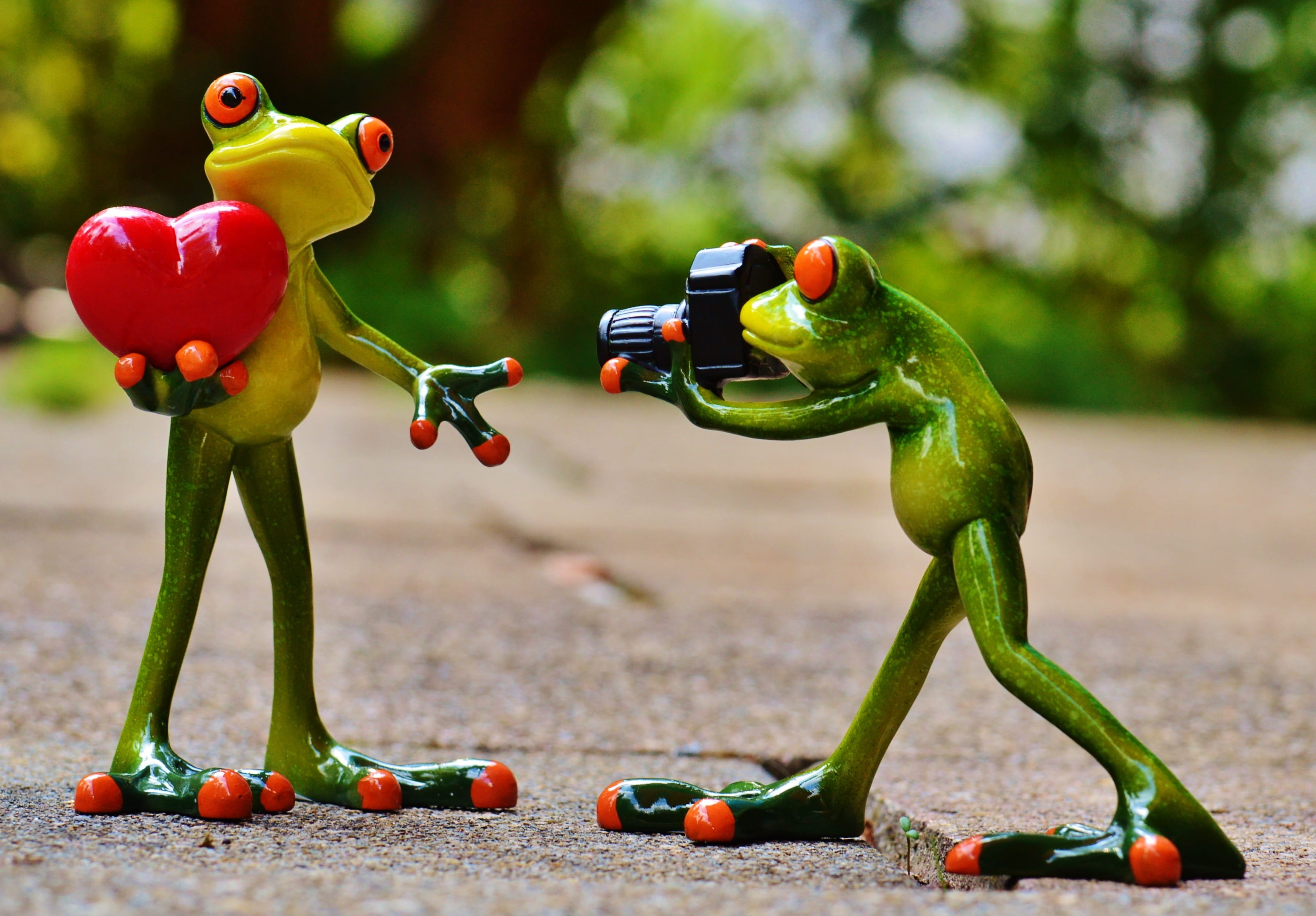 pose, photograph, funny, childhood, creativity, frogs, valentines day, figure, red, heart, green, frog, photographer, focus on foreground, day, holding, HD Wallpaper