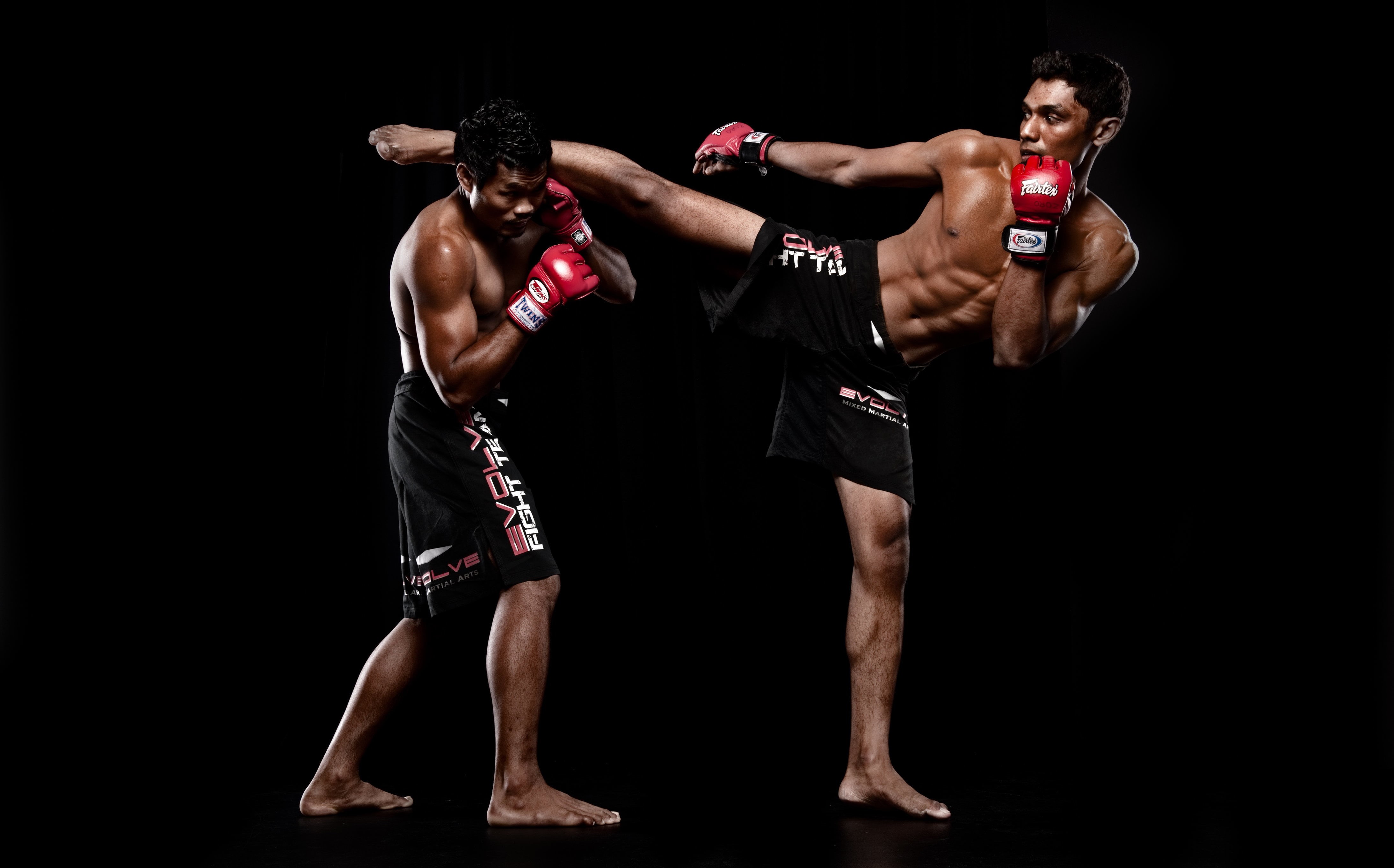 healthy Lifestyle, 4K, mma, professional Sport, muscular Build, young Men, kickboxing, male Beauty, two people, strength, anger, competitive Sport, mixed Martial Arts, HD Wallpaper