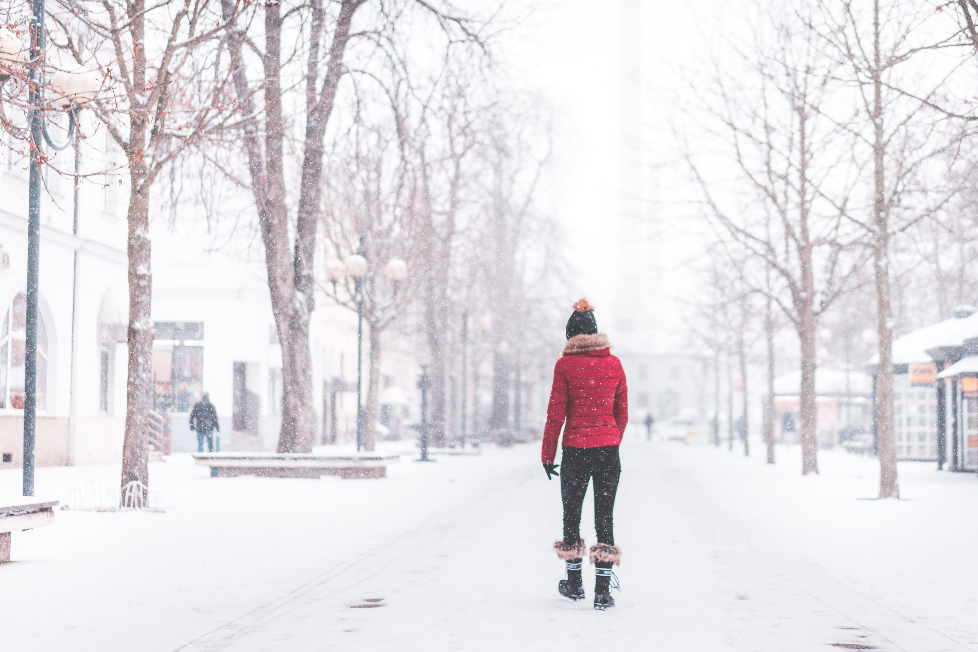 warm clothing, woman, city, extreme weather, clothing, girl, park, caucasian Ethnicity, real people, snow, tree, day, winter hat, winter, snowflakes, women, HD Wallpaper