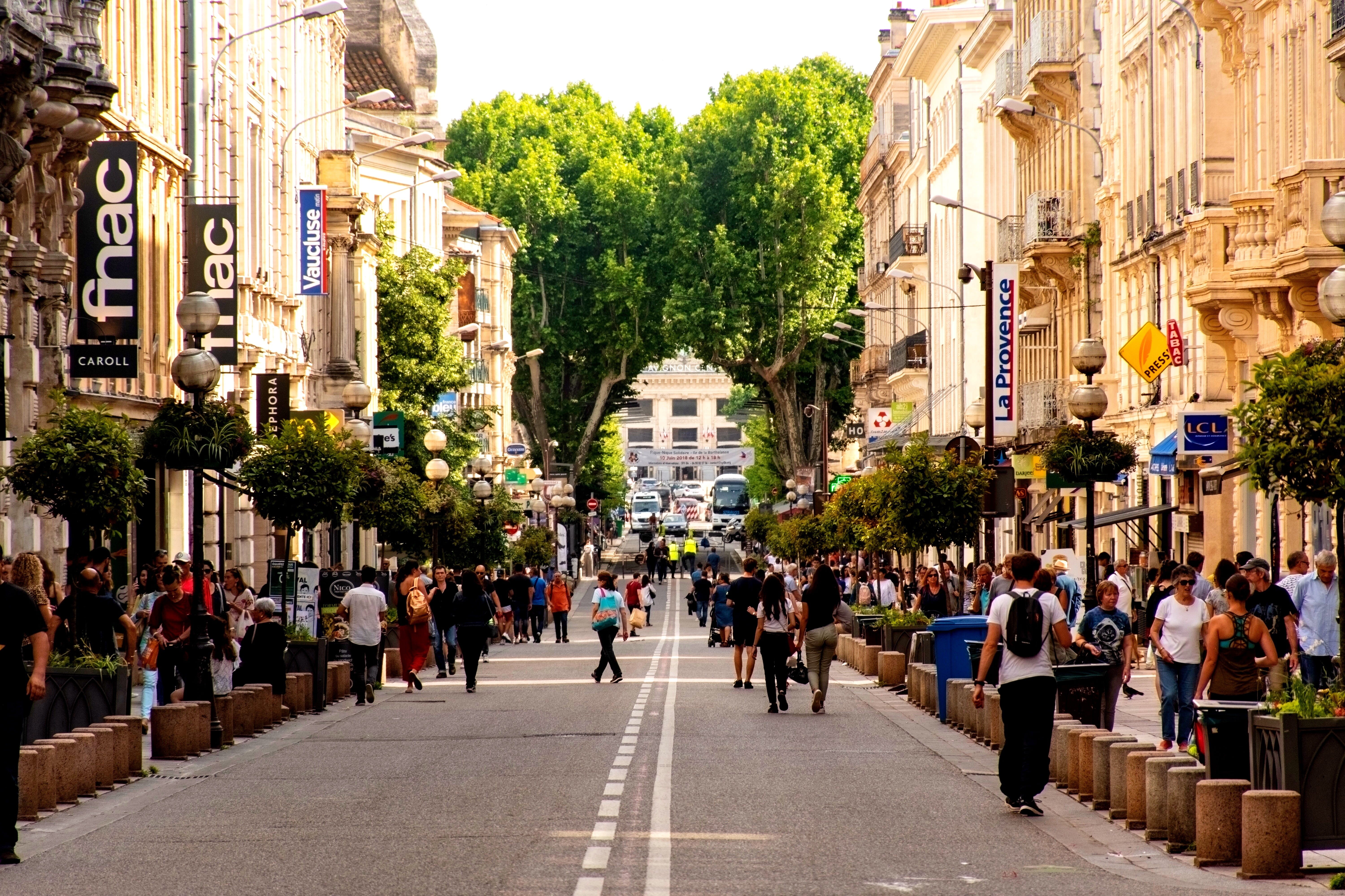 tourist attraction, tree lined, large group of people, bustling, busy, real people, 5K, france, tree, classy, direction, walking, europe, crowd, people, HD Wallpaper