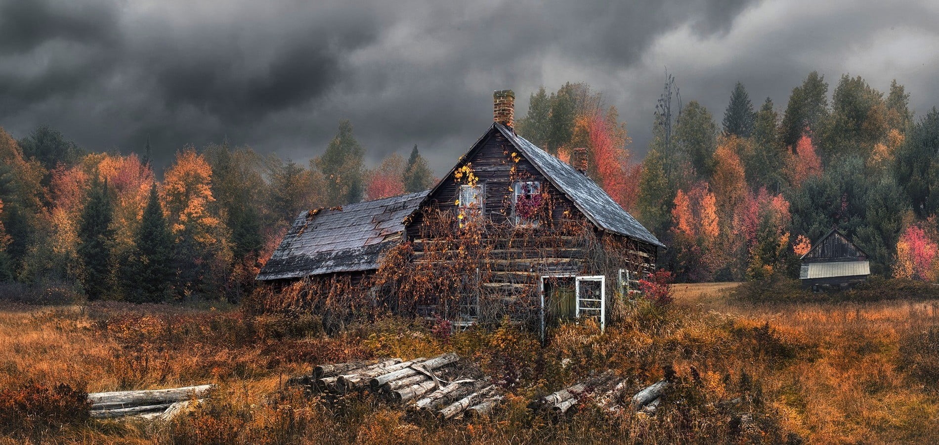 deterioration, day, abandoned, built structure, clouds, forest, architecture, tree, fall, sky, scenics - nature, dry grass, brown, beauty in nature, change, HD Wallpaper