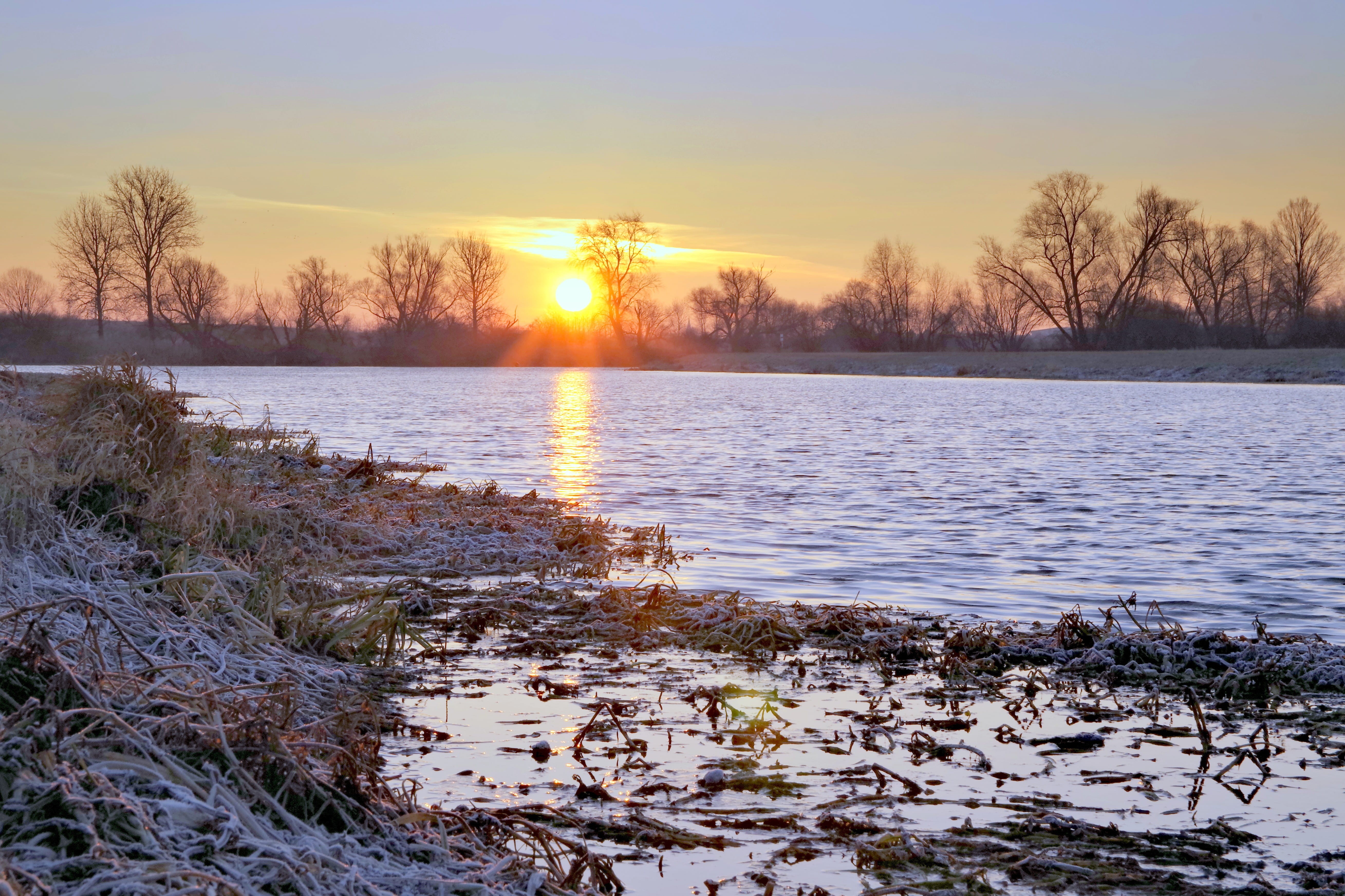 ice, 5K, water, bare tree, frosty, plant, beauty in nature, covering, frozen, East, poland, nature, cold, sunset, landscape, snow, no people, tree, tranquility, HD Wallpaper
