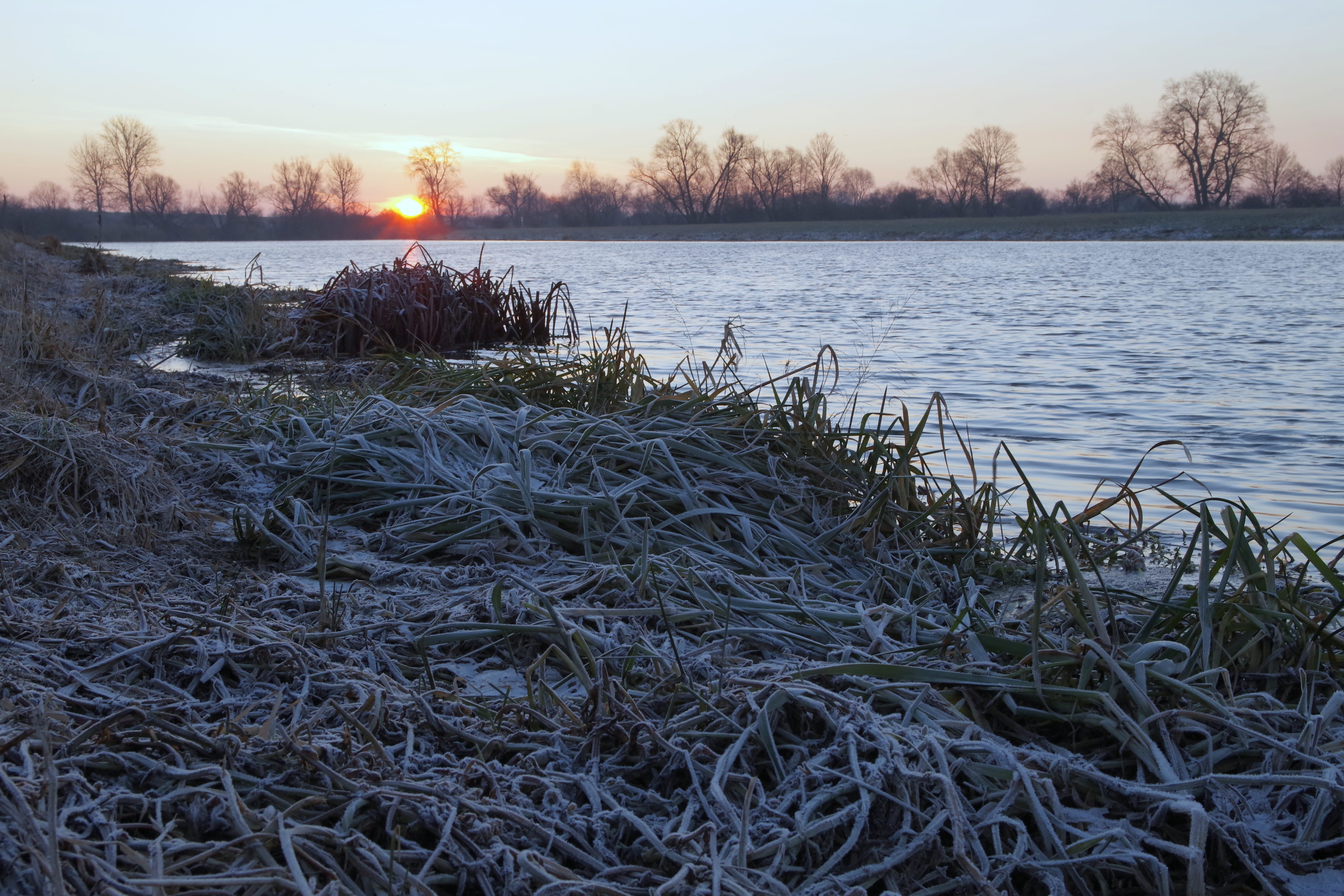 river, opole, Sun, zers, Morning, cold temperature, water, non-urban scene, scenics - nature, 5K, Freezers, plant, sky, hard rime, the sun, landscape, HD Wallpaper