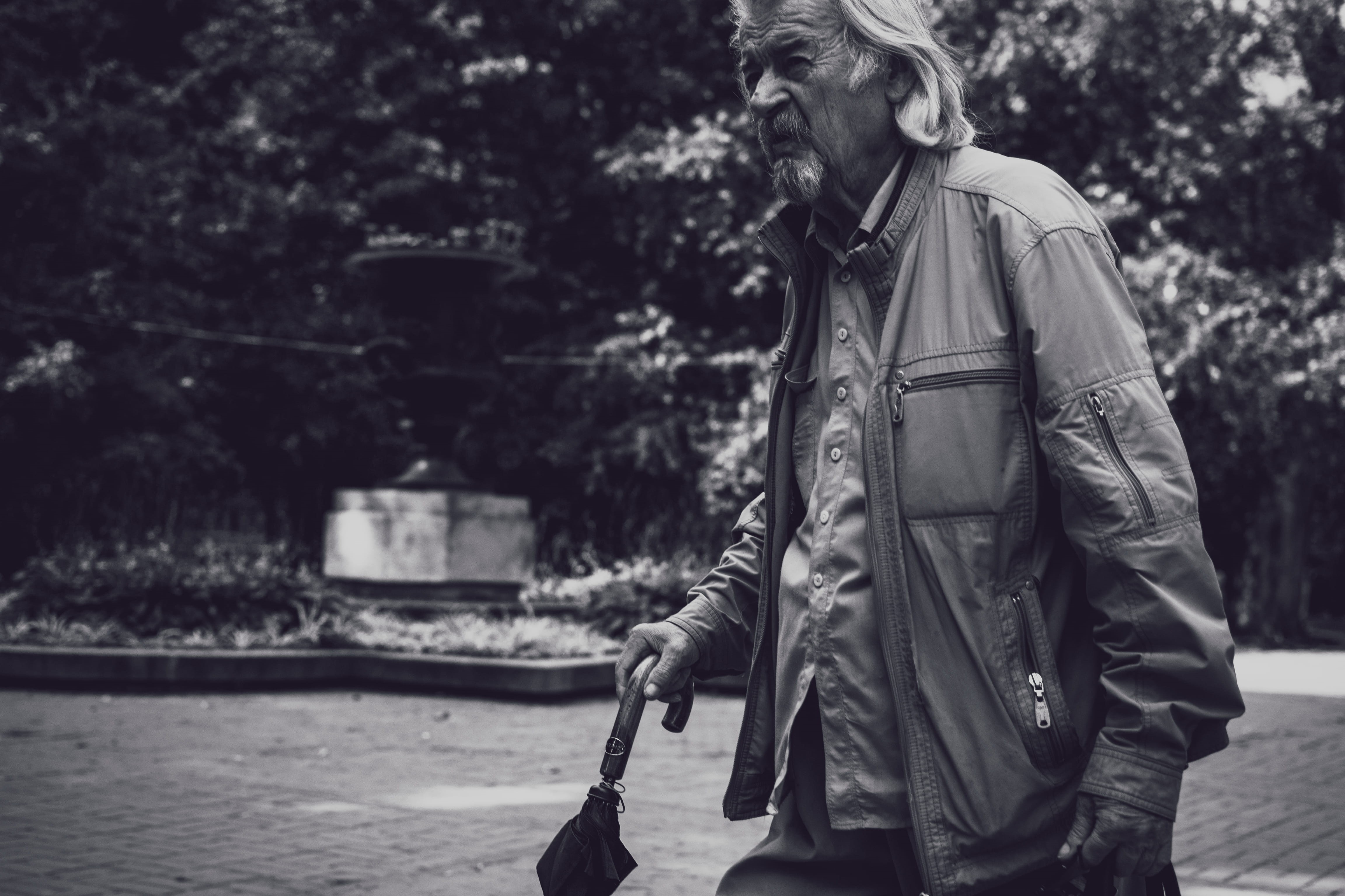black and white, clothing, 4K, tree, leisure activity, jacket, noir, leather, walking, umbrella, elderly, candid, grey, gray, young adult, old man, outdoors, HD Wallpaper
