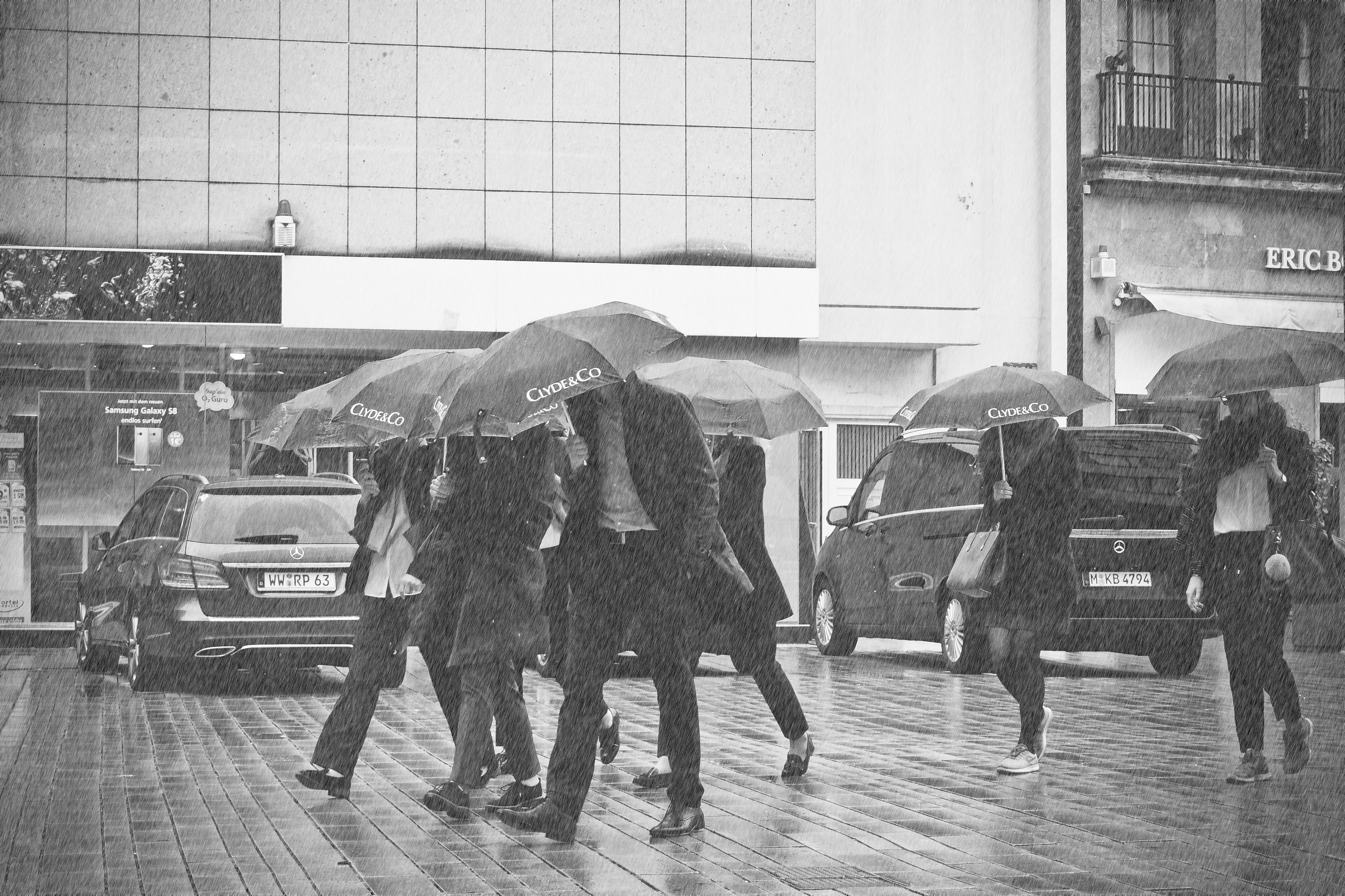 photography, strömender rain, mode of transportation, umbrellas, weather, urban, transportation, sw, day, walking, mammal, street photography, black and white, HD Wallpaper