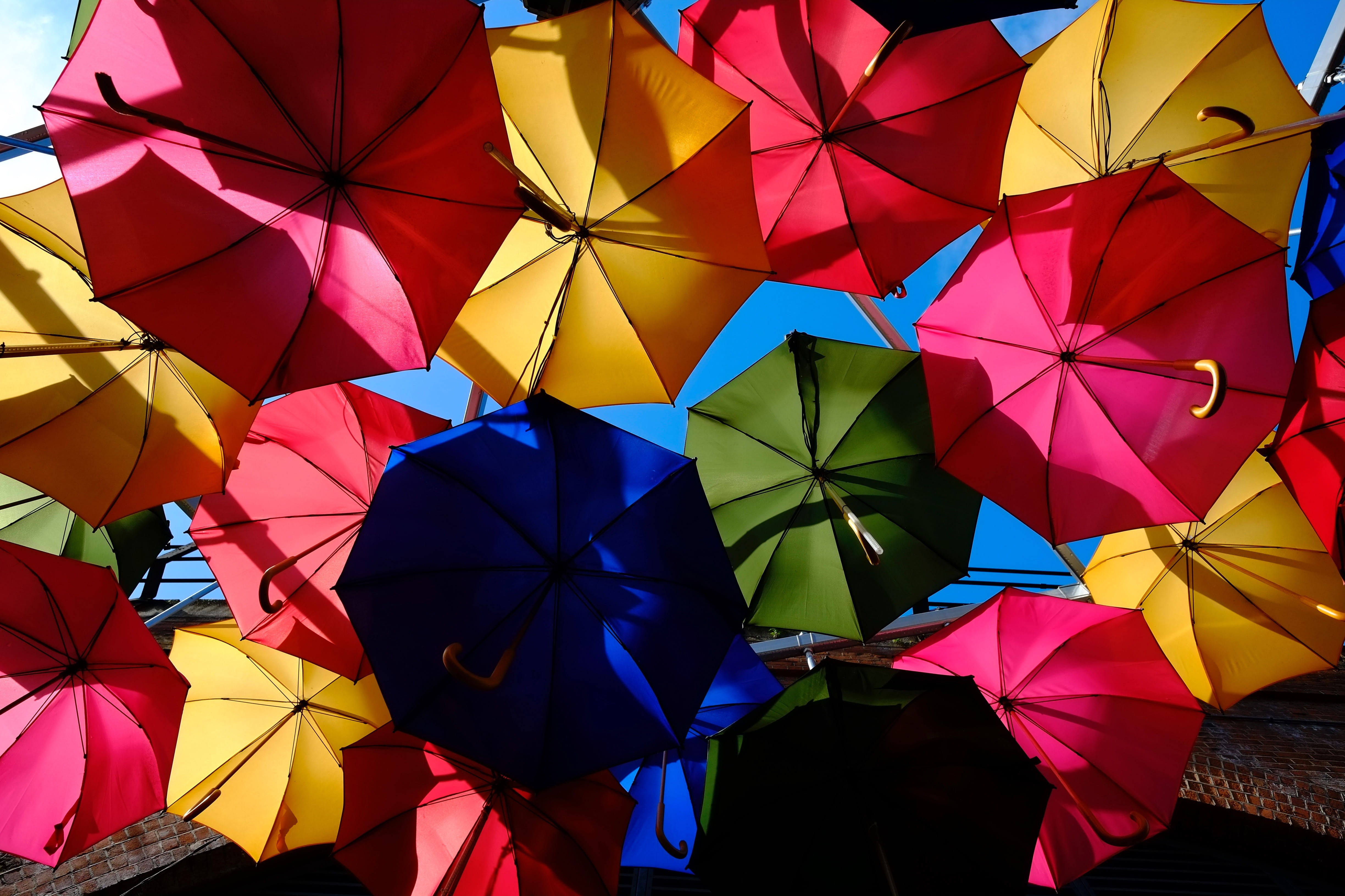 security, large group of objects, rain, low angle view, fashion, day, multi Colored, various, vibrant color, 4K, umbrella, Colorful, safety, variation, HD Wallpaper