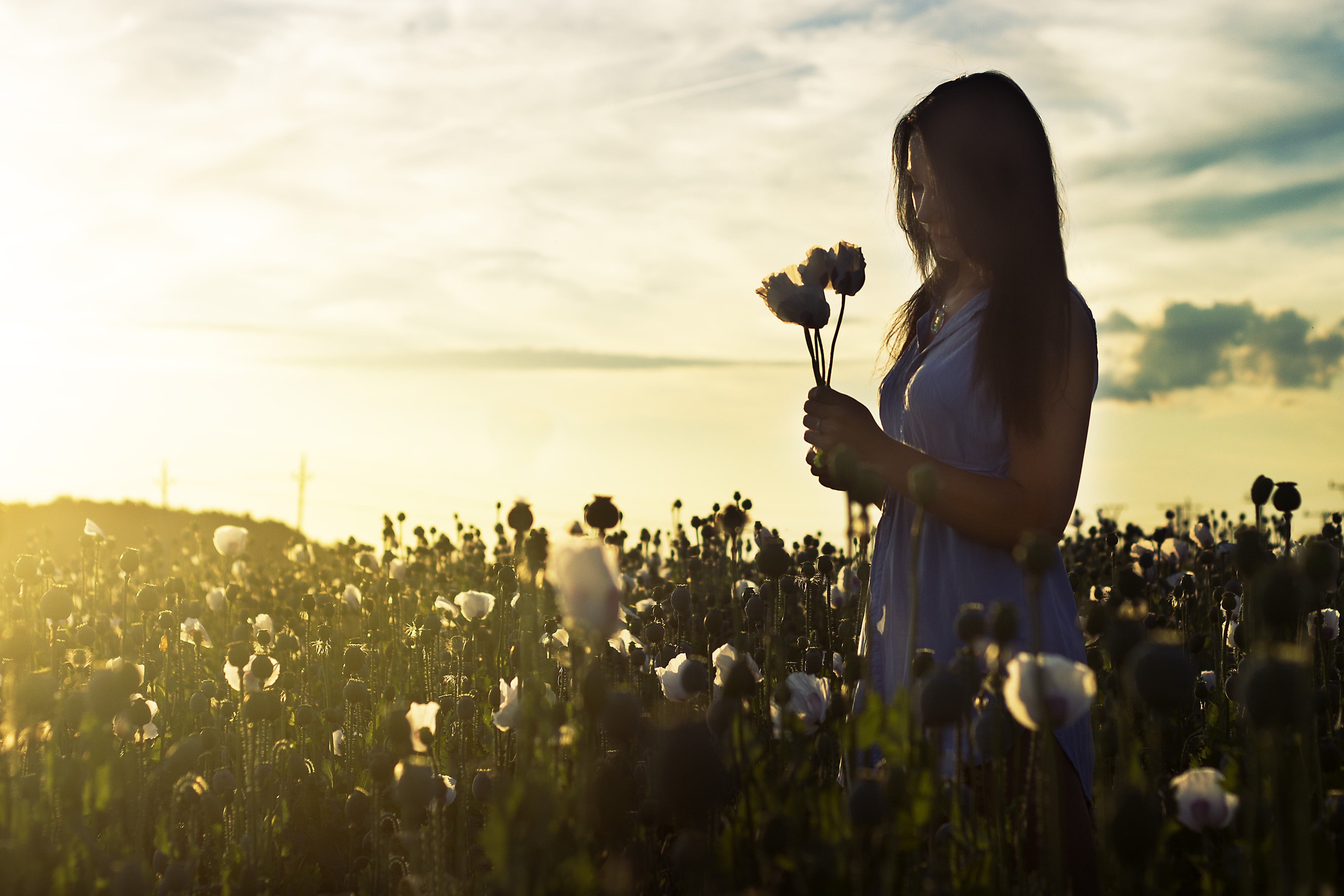 blue, white, meditation, beauty in nature, sky, hair, sunset, one young woman only, one person, holding, colors, mood, peace, flower, petaled, crop, plants, HD Wallpaper