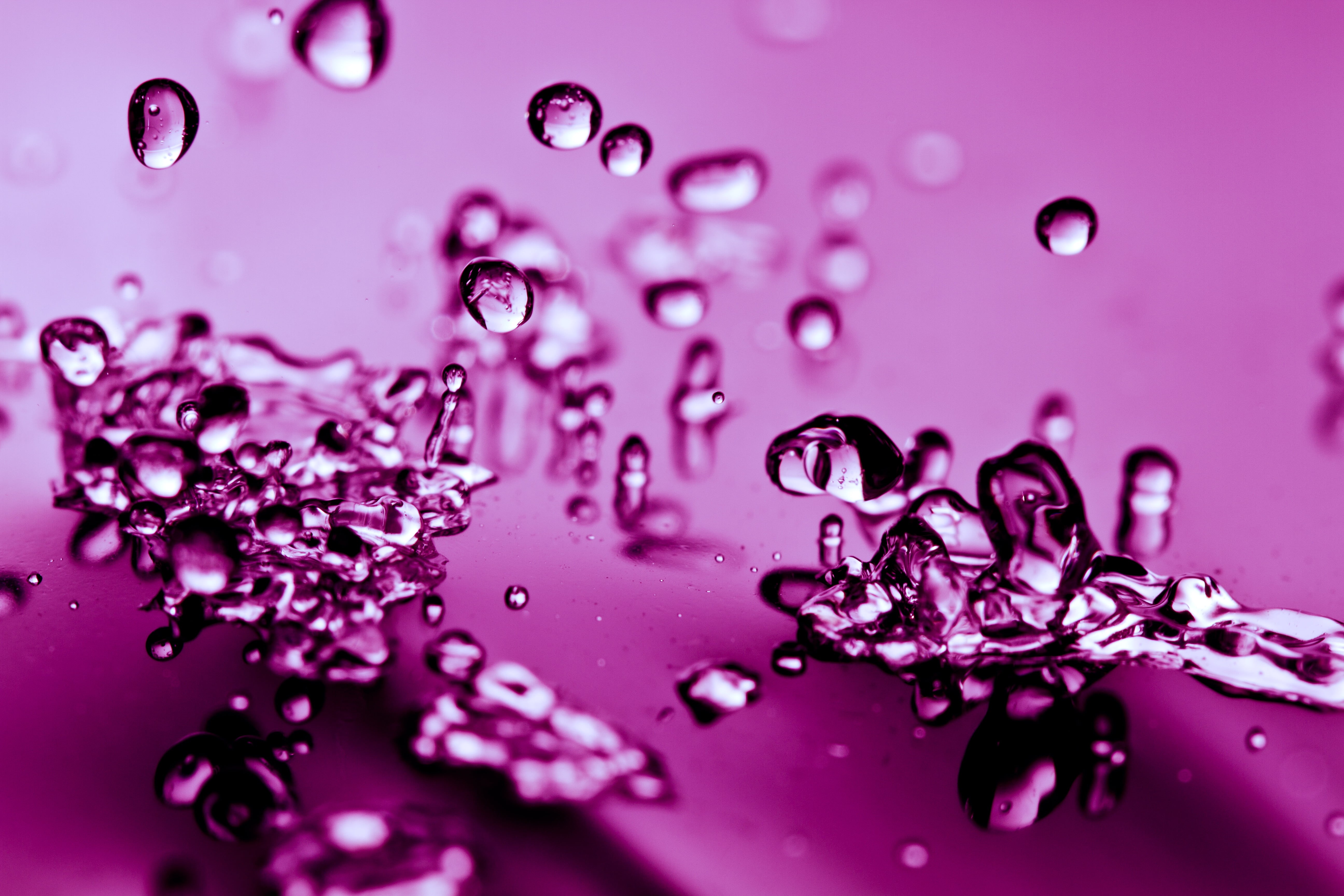 splashing, backgrounds, freshness, focus, droplets, wet, purple, nature, shallow, macro, 5K, water, Splash, abstract, bubble, photography, close-up, waters, HD Wallpaper