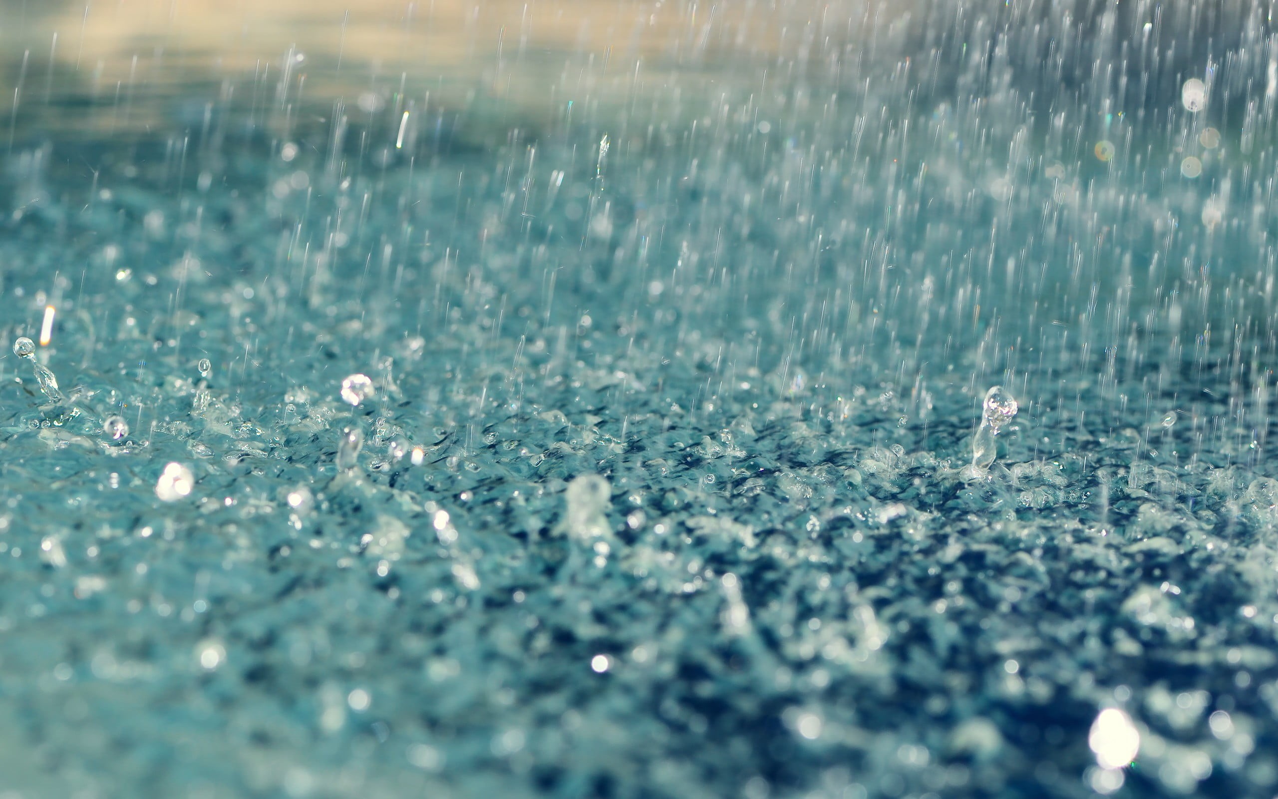 day, wet, beauty in nature, cold - Temperature, winter, summer, 2K, macro, rain, selective focus, reflection, no People, defocused, snow, splashing, raindrops, HD Wallpaper