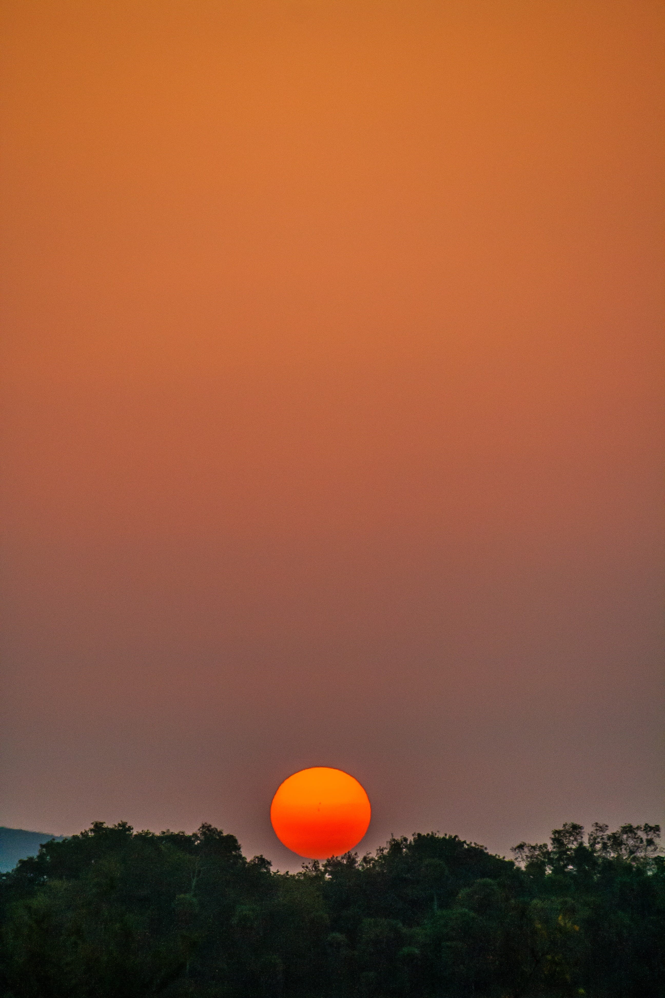 no people, tranquil scene, non-urban scene, tamilnadu, landscape, art, plant, silhouette, sun, tree, scenics - nature, fair weather, sunset, chennai, blur, Phone HD Wallpaper