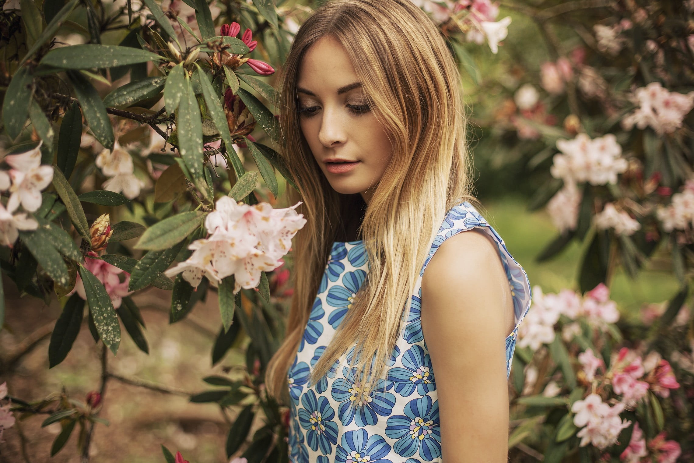 flowers, young women, plant, women outdoors, nature, hairstyle, smelling, beauty in nature, flowering plant, blonde, long hair, flower head, outdoors, contemplation, HD Wallpaper