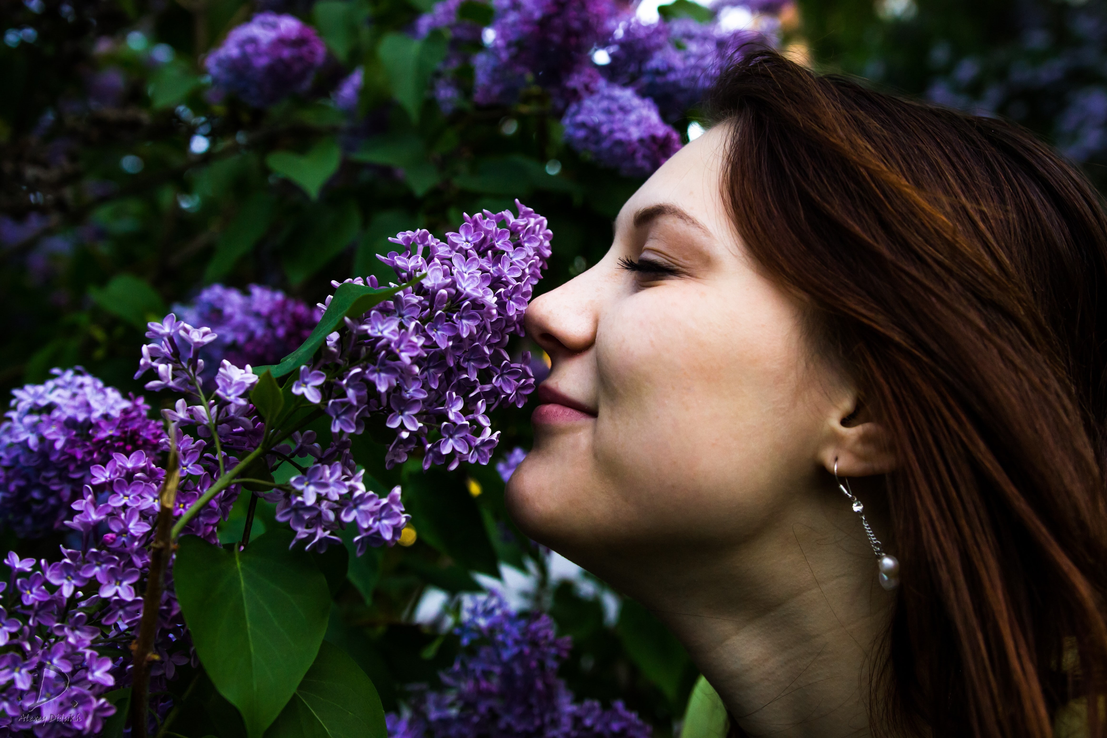 beauty in nature, young women, young adult, women, smelling, beautiful woman, fragility, green eyes, growth, 4K, lilac, plant, vulnerability, leisure activity, HD Wallpaper