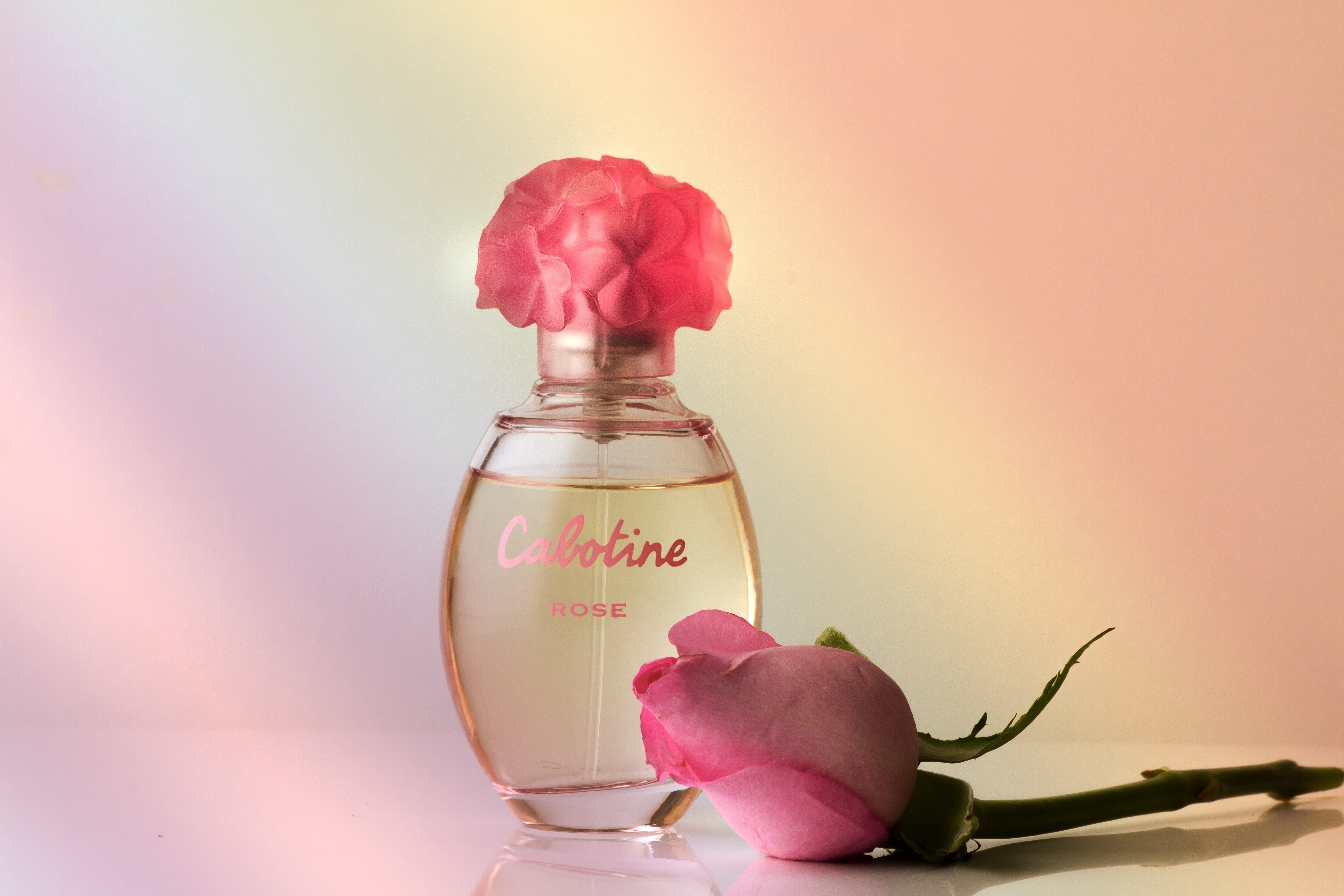 aroma, still life, rose - flower, freshness, perfume, studio shot, pink color, close-up, flowering plant, aromatherapy, flower arrangement, message, smell, HD Wallpaper