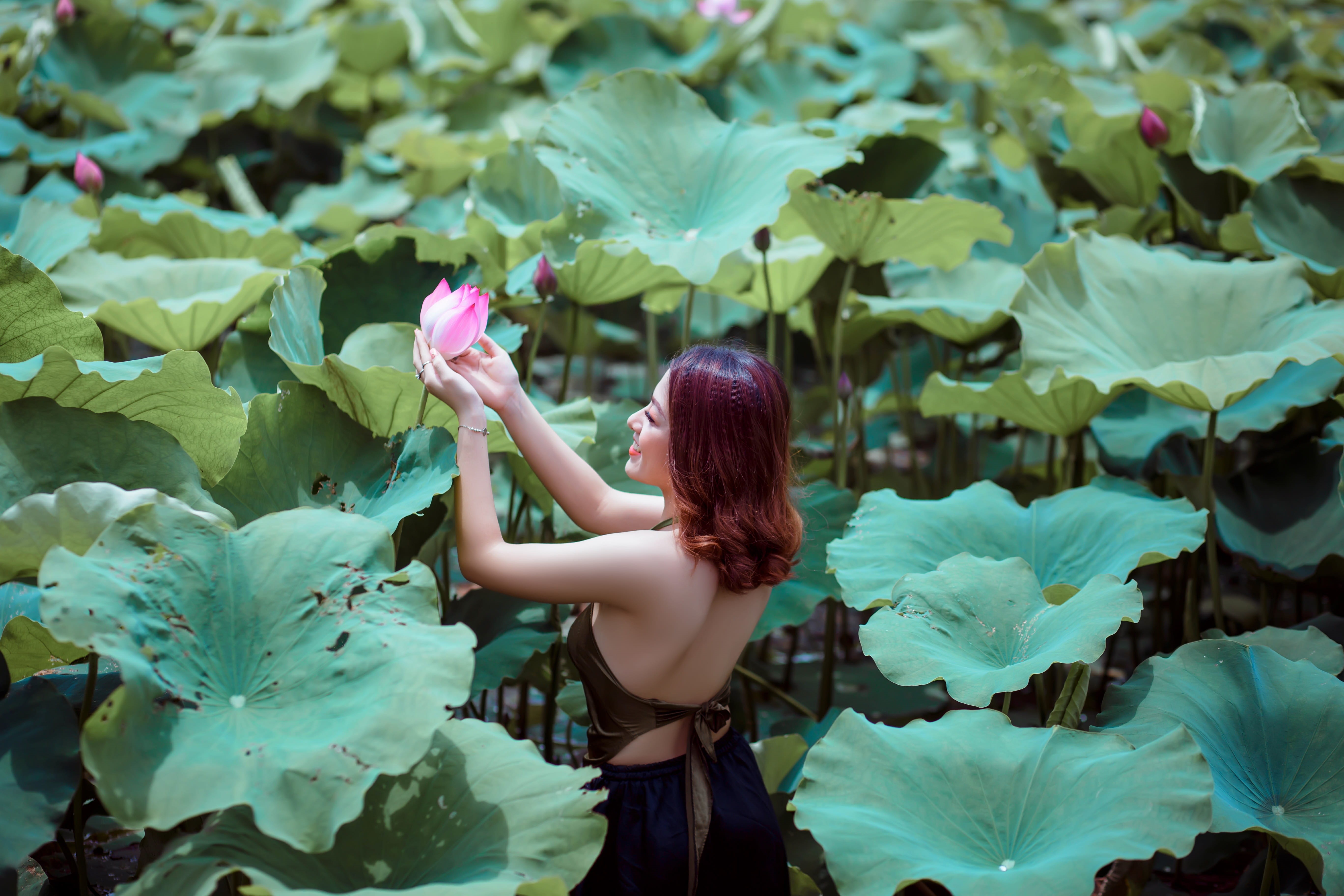 adult, beautiful woman, lotus, style, outdoors, flowering plant, beauty in nature, fashion, day, freshness, season, cute, one person, field, beautiful, HD Wallpaper