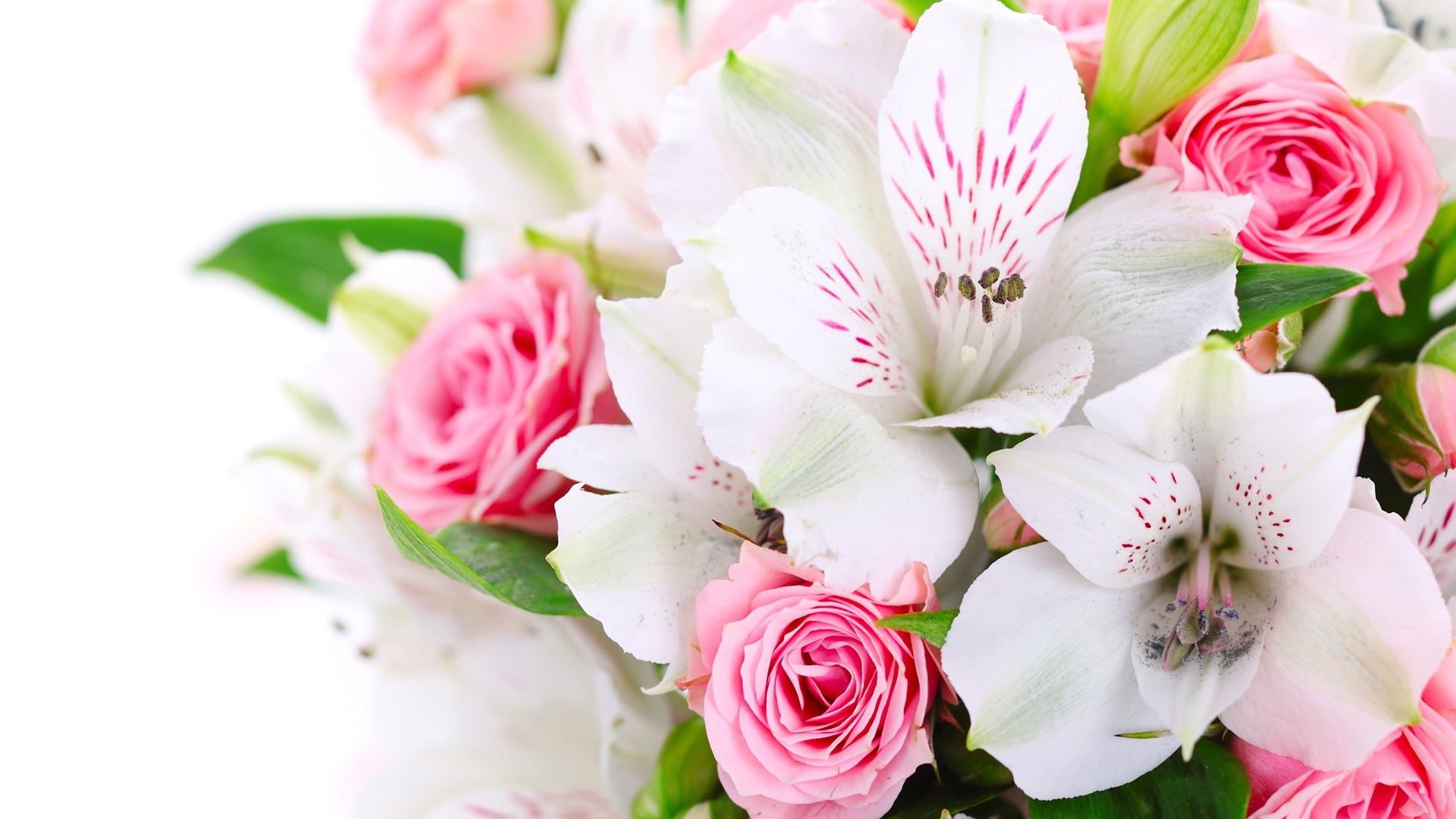 summer, freshness, bunch, garden, fresh, flower arrangement, spring, close, focus on foreground, blooming, 1080P, botanical, growth, color, petal, pink, HD Wallpaper