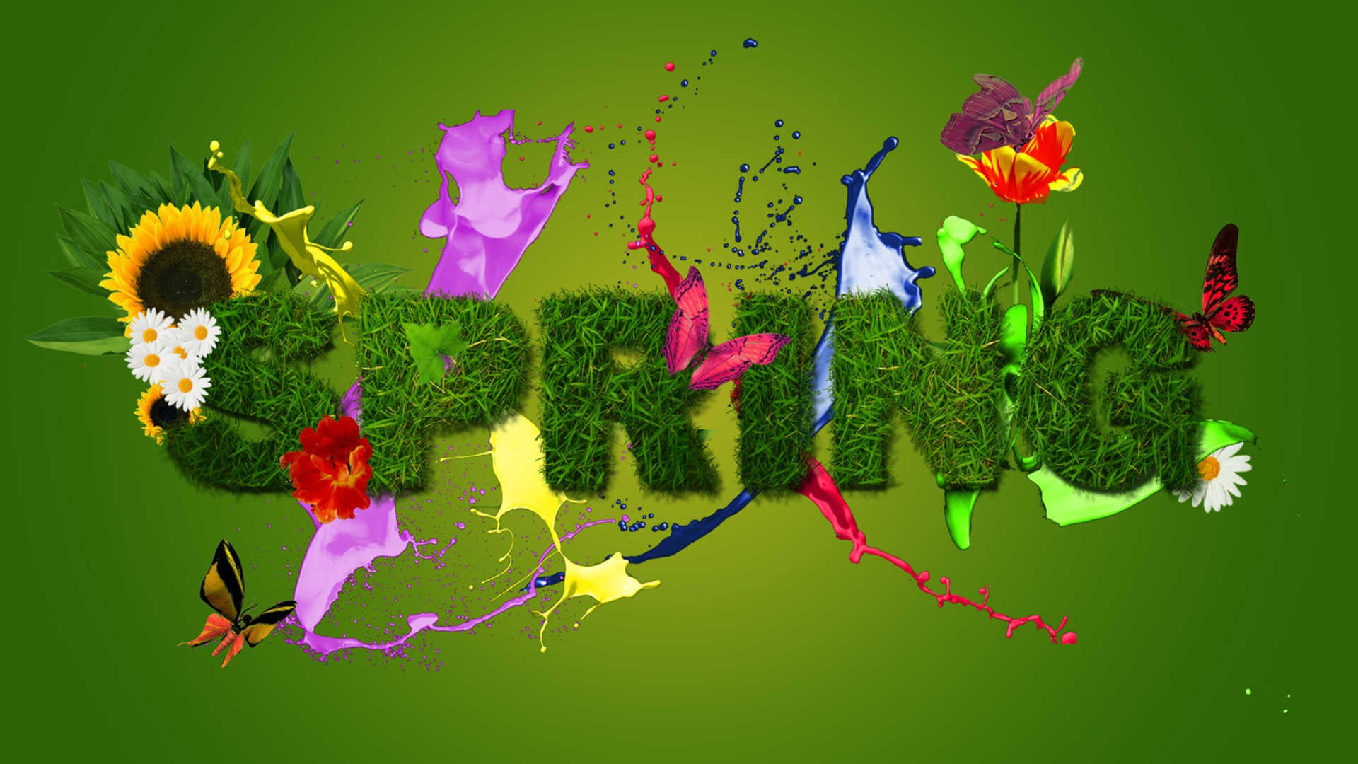 silhouette, botany, flowers, leaves, ornament, flower, holiday, season, color, bloom, celebration, grass, growth, bud, spring, petal, summer, drawing, floral, HD Wallpaper
