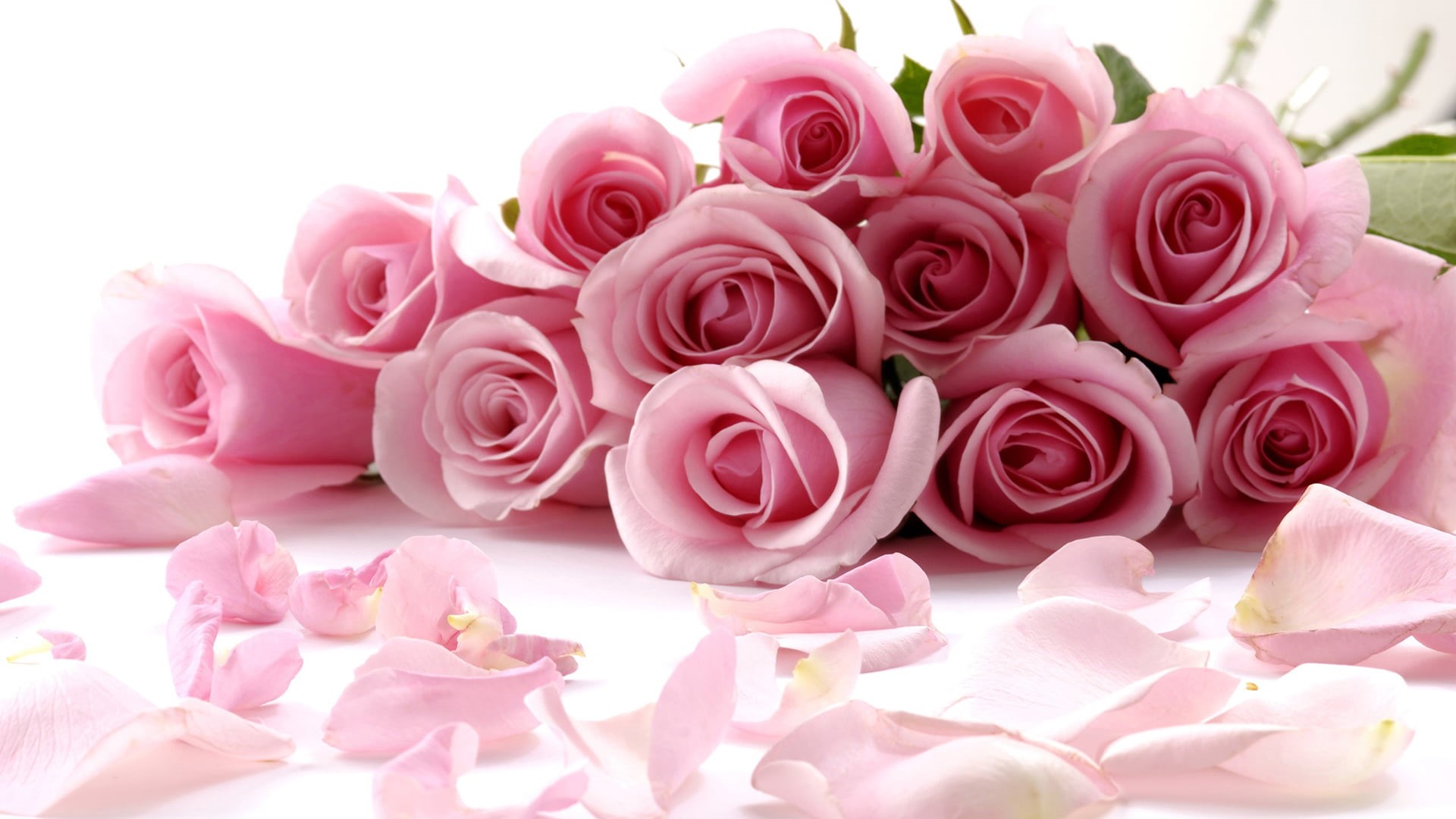 freshness, bunch of flowers, bloom, roses, studio shot, plant, floral pattern, 1080P, indoors, blooming, flower head, bouquet, flora, pink color, fragility, HD Wallpaper