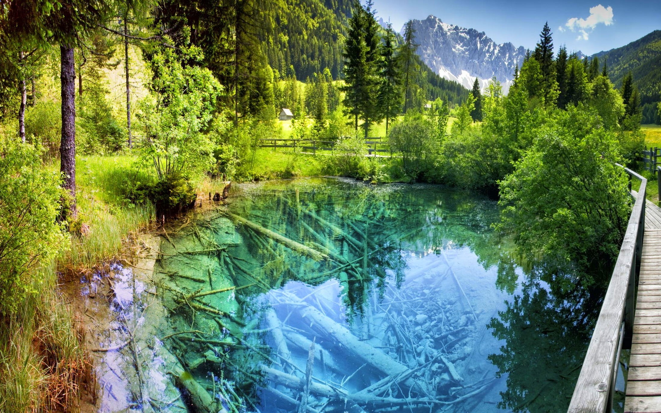 green, growth, 1080P, nature, turquoise, idyllic, non-urban scene, lake, land, pond, outdoors, Europe, trees, green color, scenics - nature, plant, environment, HD Wallpaper
