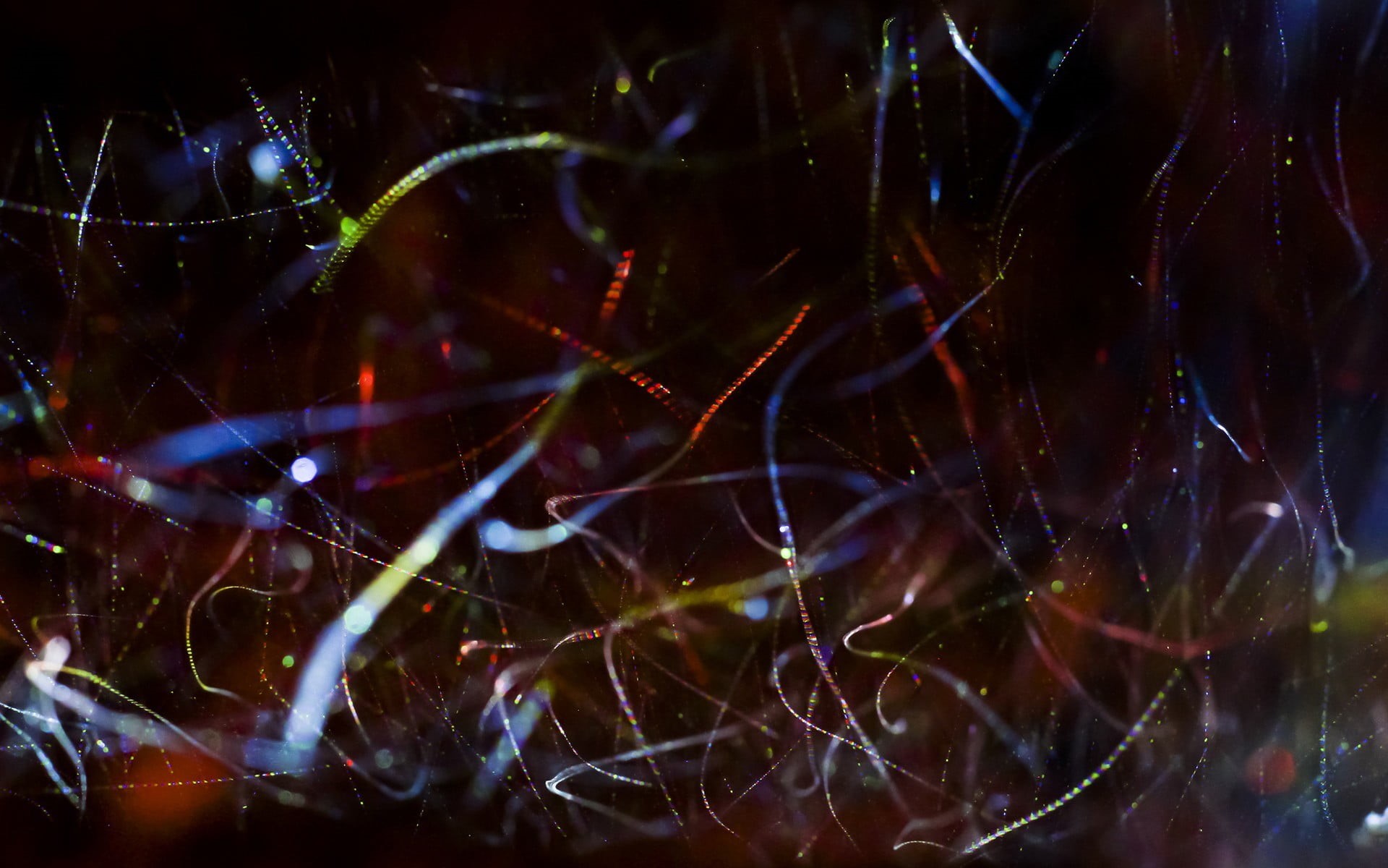 illuminated, star - space, night, full frame, nature, beauty in nature, pattern, black background, water, selective focus, 1080P, untitled, backgrounds, HD Wallpaper