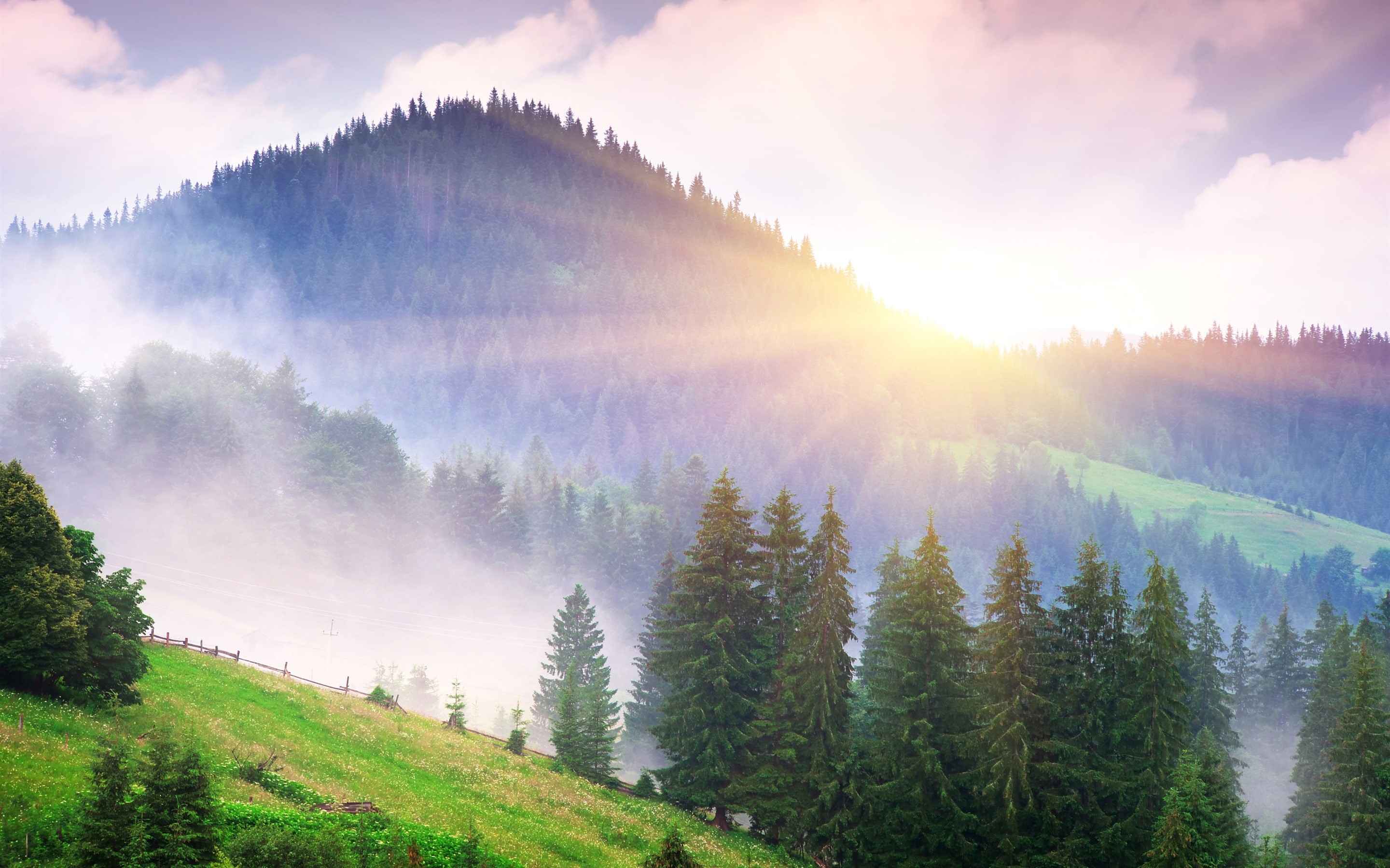 Morning, Fog, Dawn, Rays, Sun, Beautiful, Mountains, Trees, Nature, 2K, HD Wallpaper