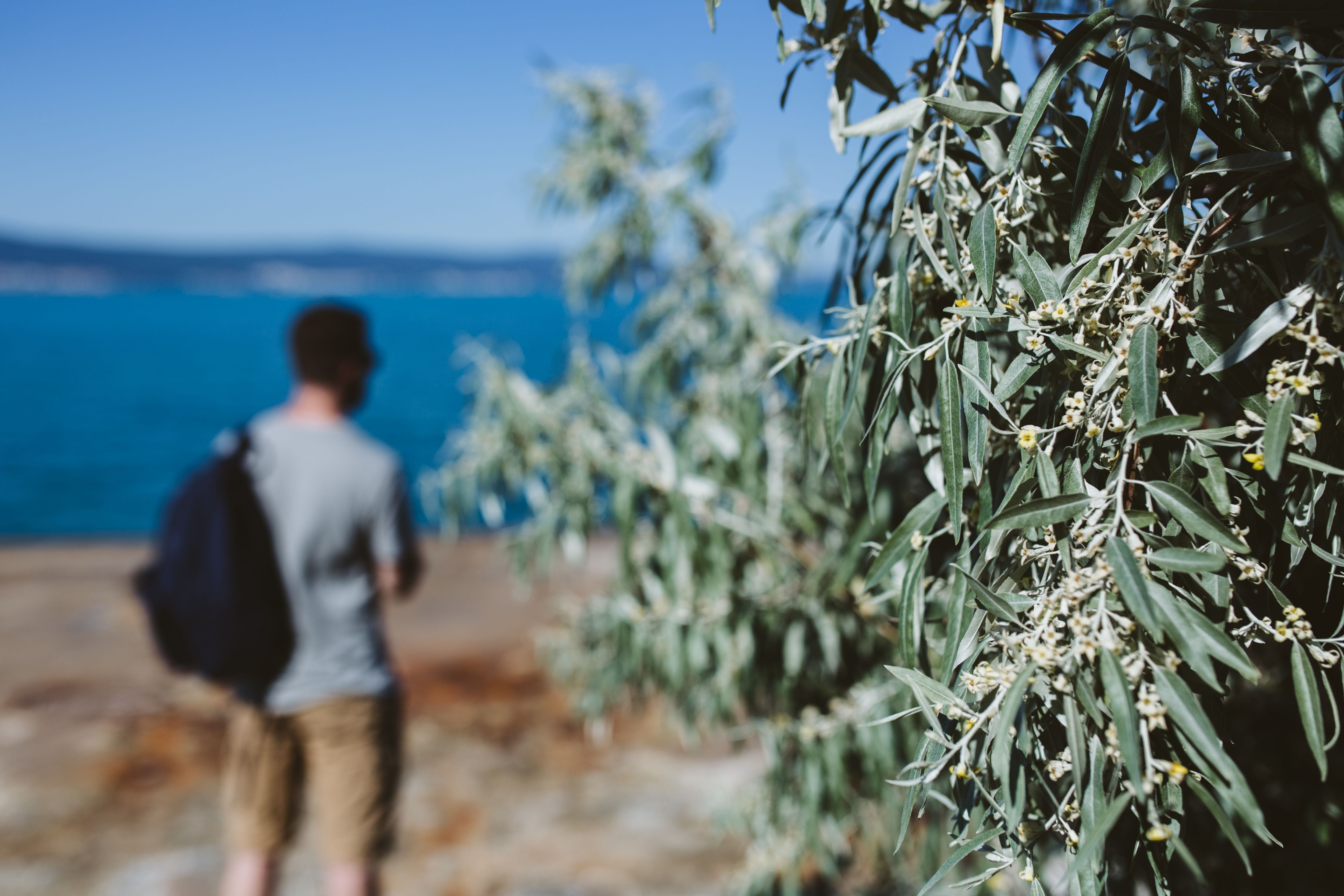 sky, one person, coastline, lifestyles, summer, sunlight, advertising, outdoors, man, male, real people, rear view, looking, day, back view, nature, young, HD Wallpaper