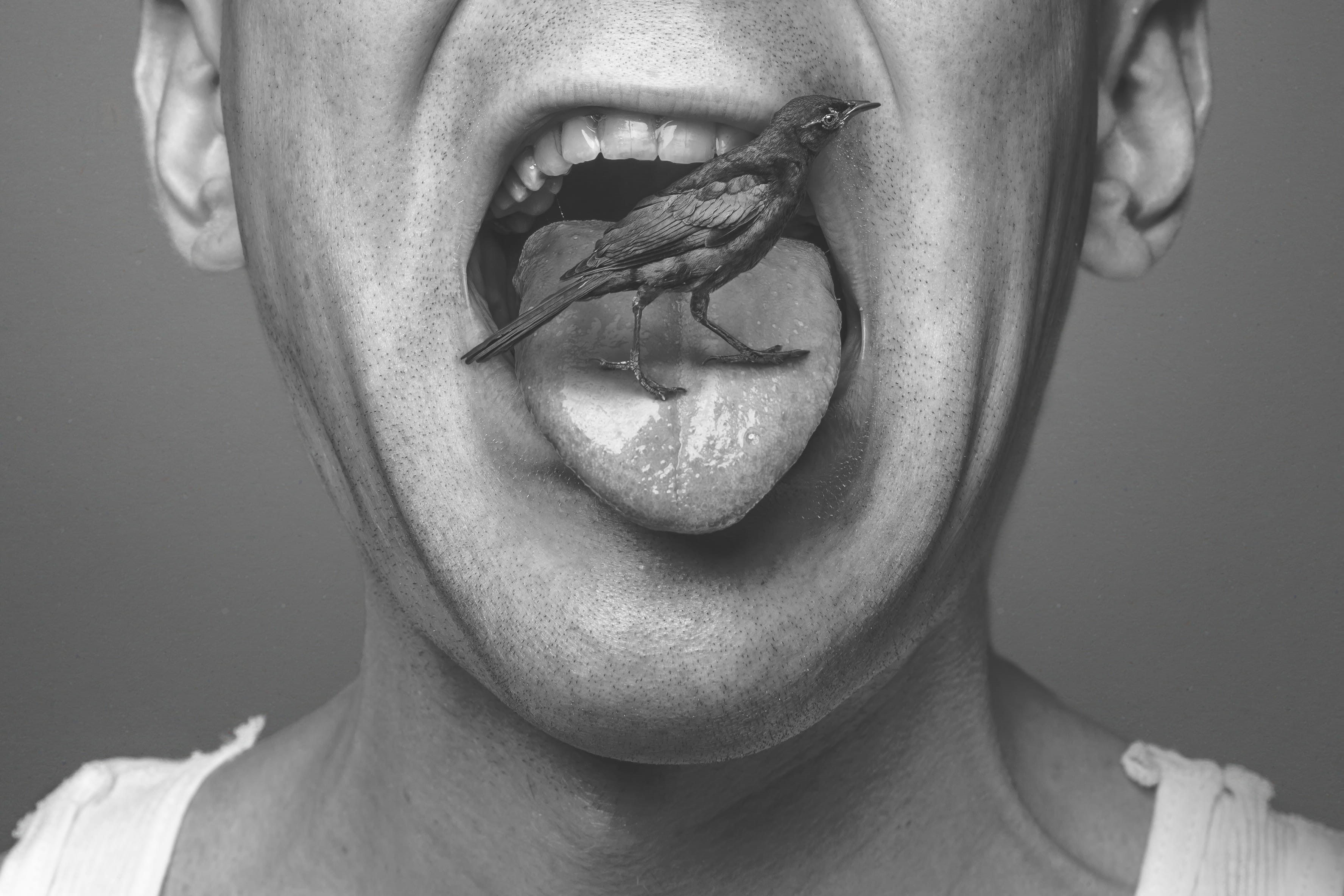 one Person, model, indoors, silly, section, unique, midsection, women, one man only, weird, human lips, adult, chin, people, human body part, goofy, perch, HD Wallpaper