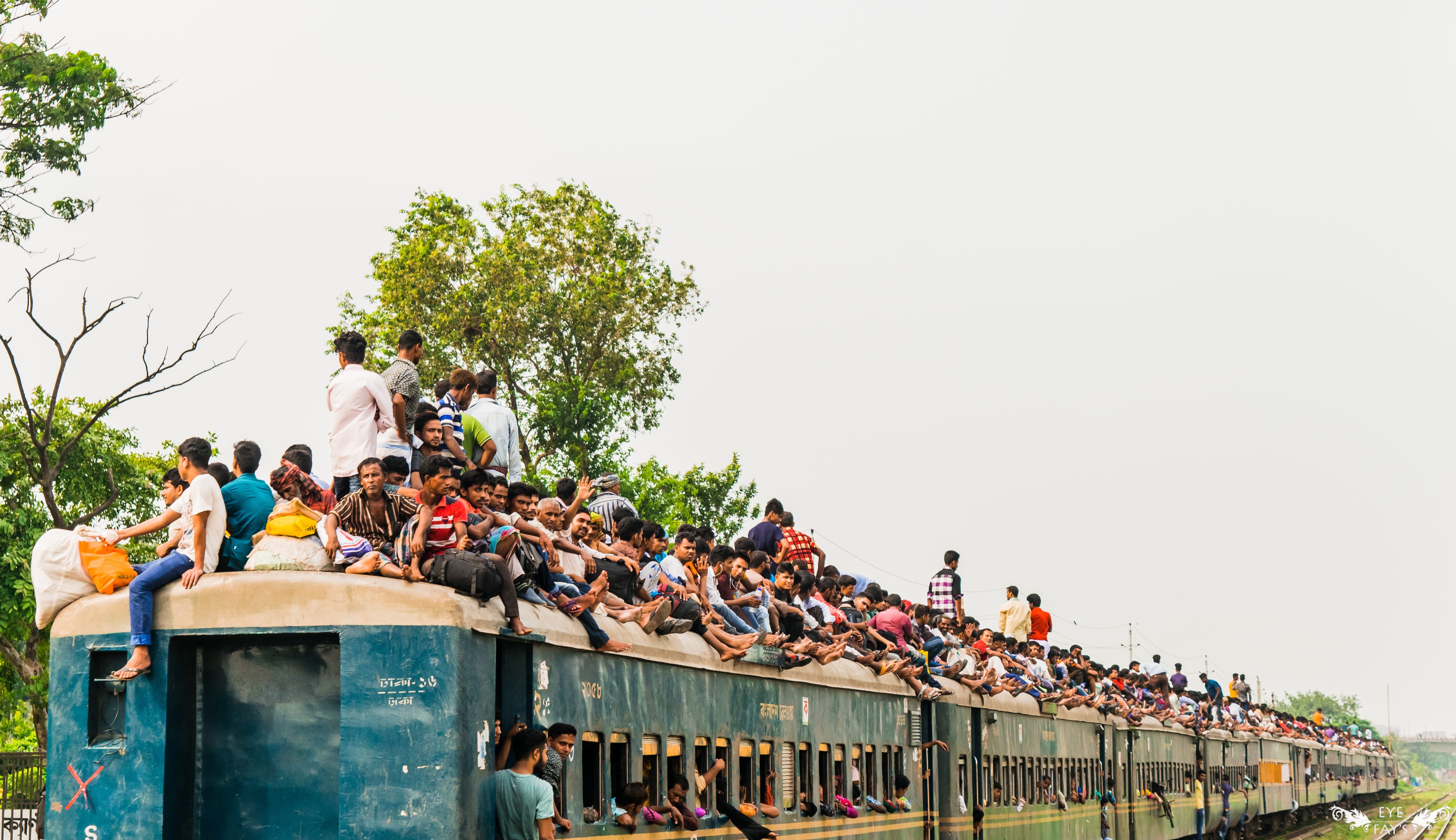 subway, adult, metro, leisure activity, reckless, city, 5K, plant, train, train roof, transportation, station, nature, bangladesh, group of people, lifestyles, HD Wallpaper