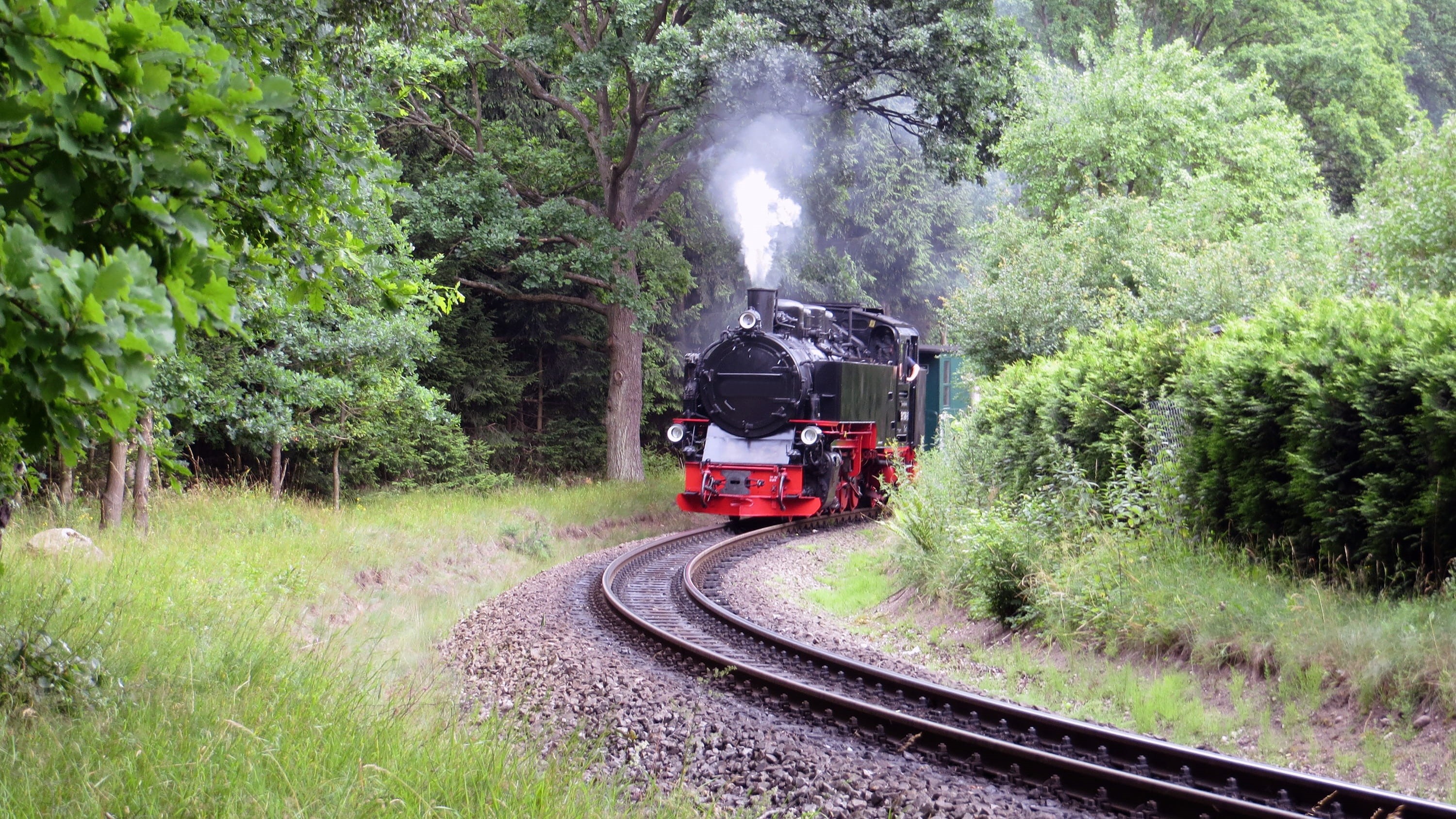 green color, seemed, 2K, rasender, nature, steam, railroad track, smoke - physical structure, day, roland, binz, motion, narrow gauge railway, land vehicle, HD Wallpaper