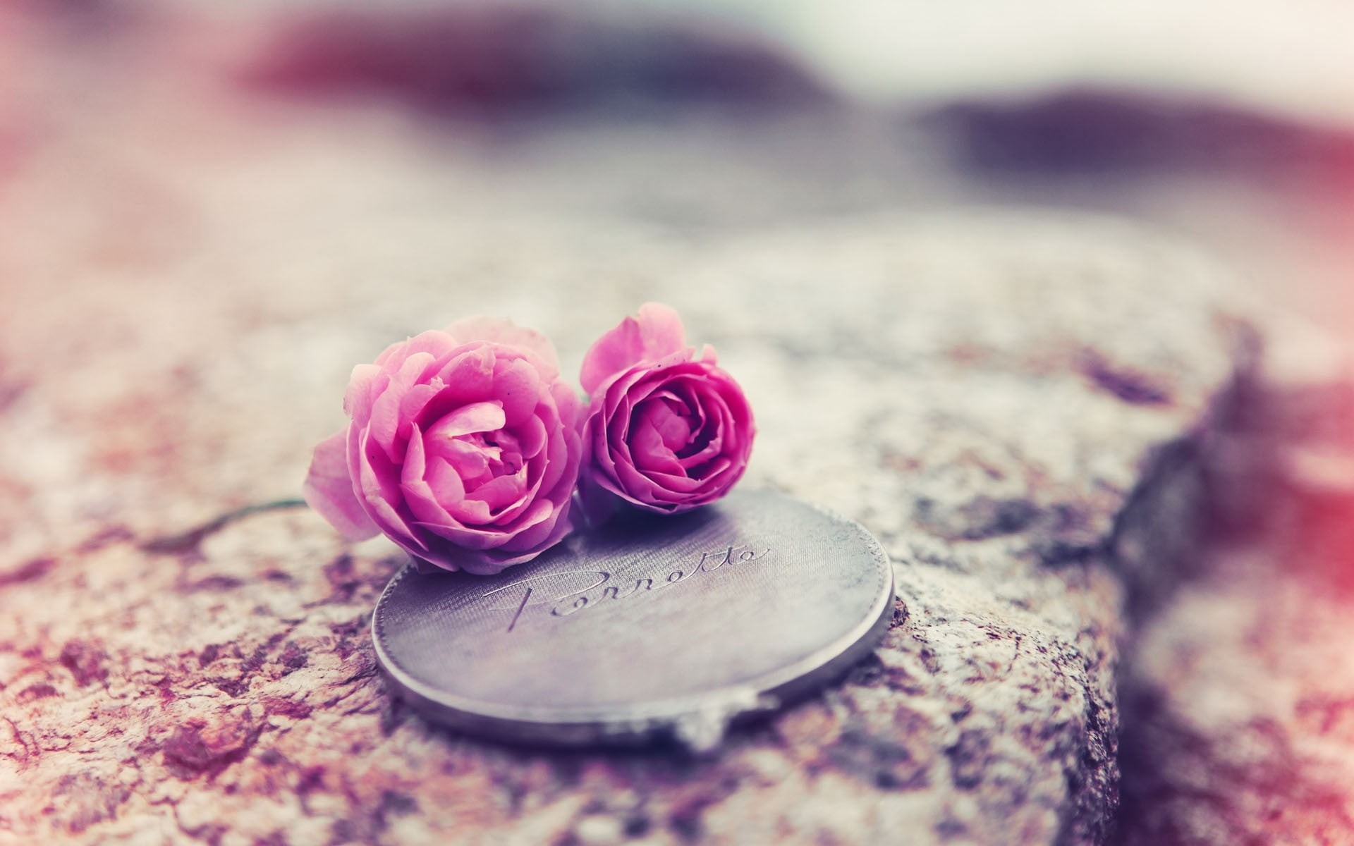 jewelry, red, pink, outdoors, focus on foreground, rose - Flower, gift, old-fashioned, nature, fragility, flowers, 1080P, decoration, flower, roses, symbol, HD Wallpaper