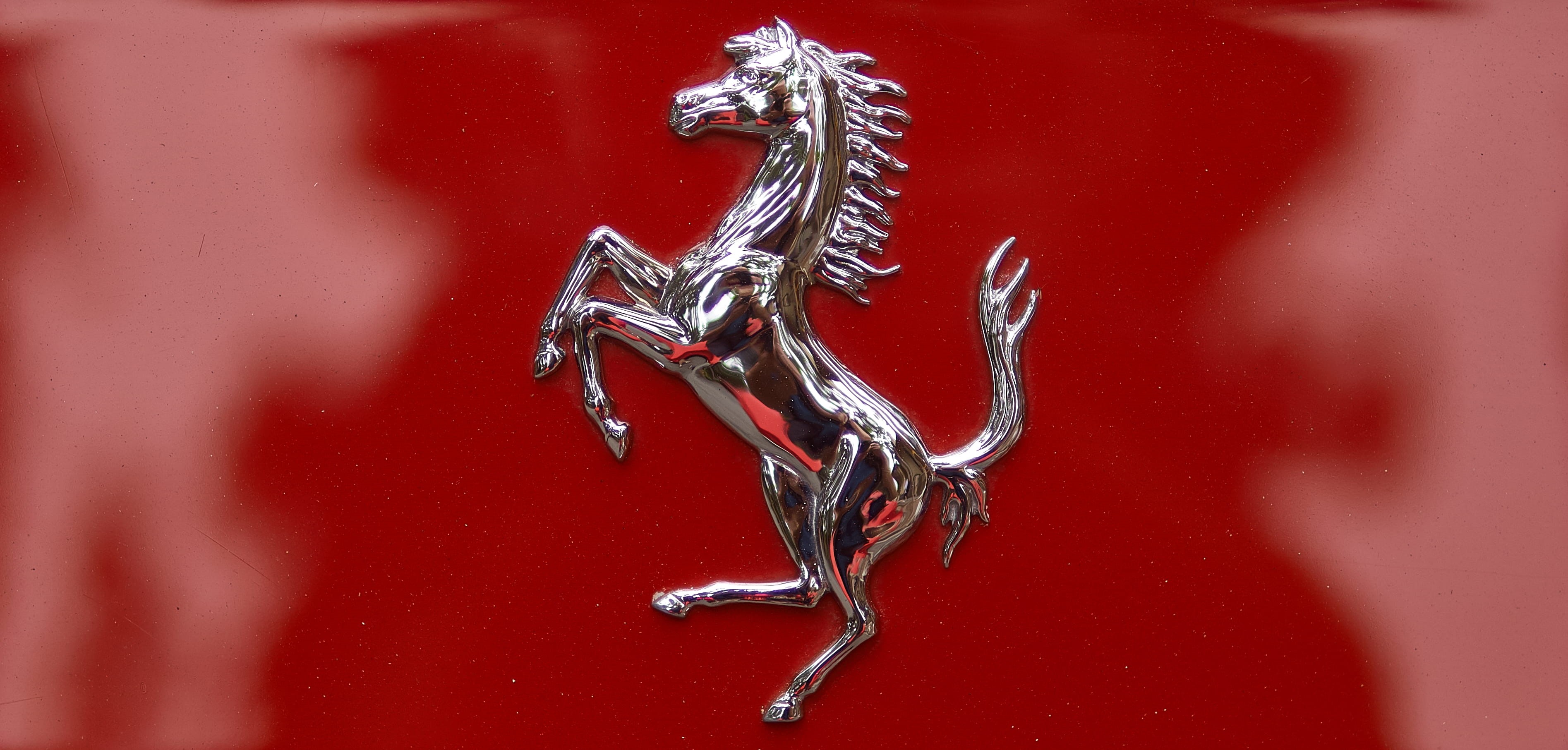 freshness, animal wildlife, food and drink, metal, red, 2K, no people, day, car, animal themes, logo, silver colored, invertebrate, selective focus, water, HD Wallpaper