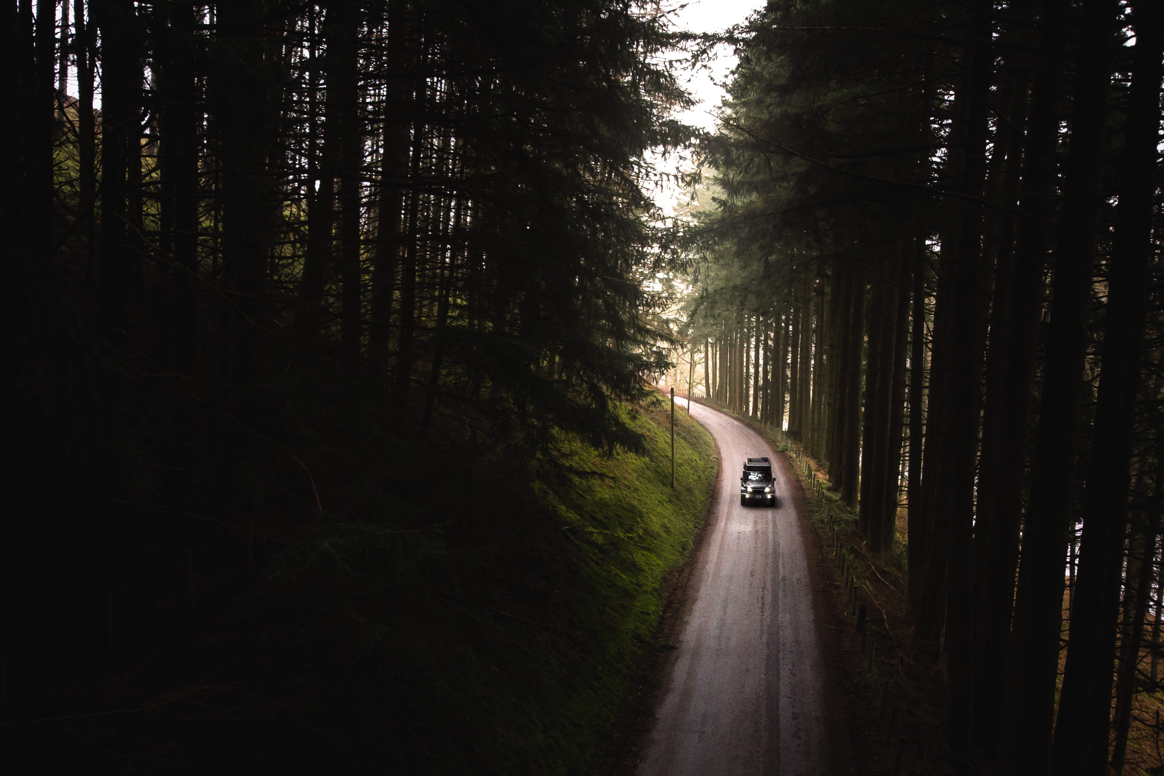 on the move, trees, tree, drive, camp, nature, mode of transportation, motion, journey, motor vehicle, black, green, non-urban scene, road trip, overland, HD Wallpaper