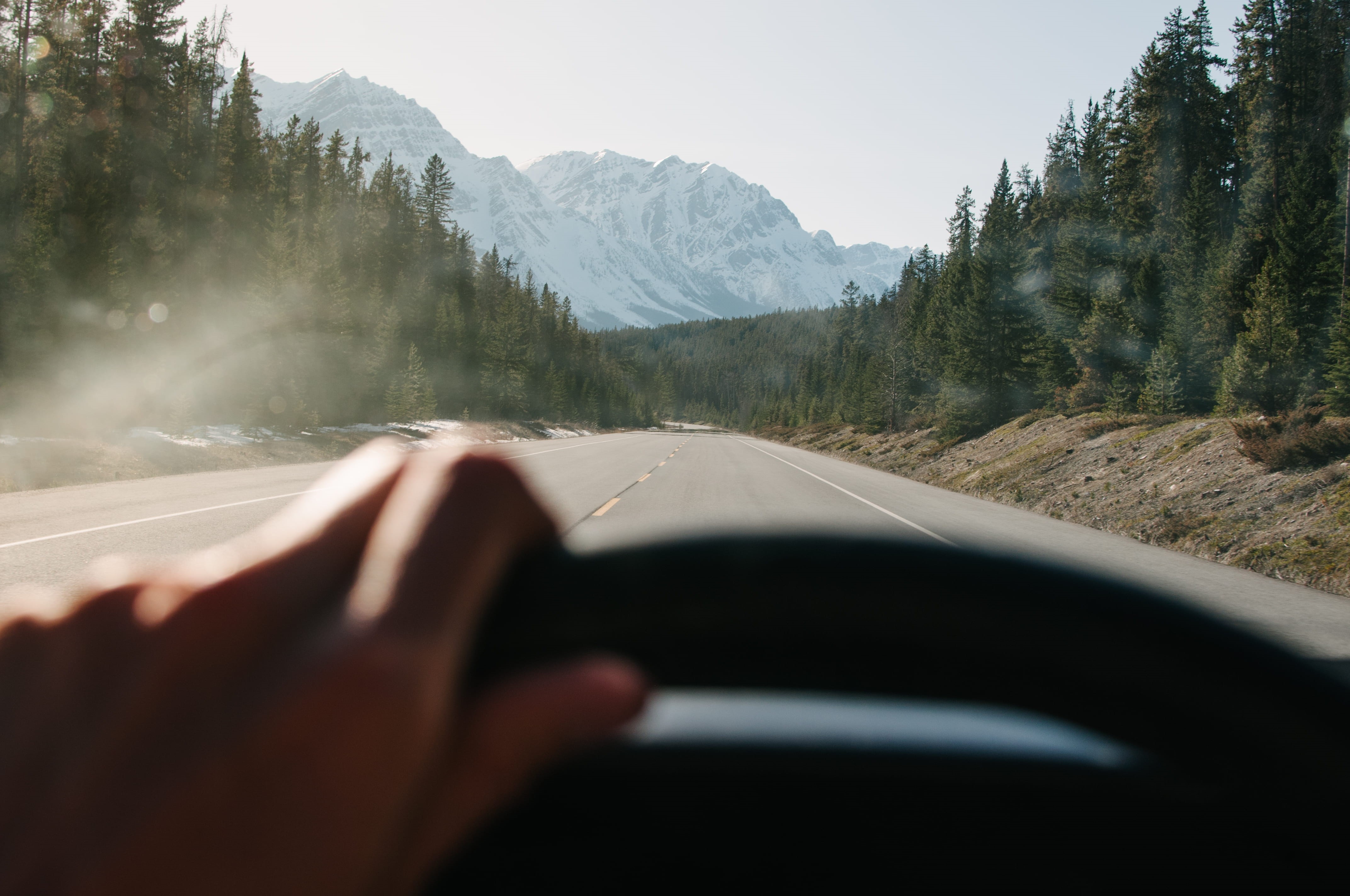 forest, mountain, land vehicle, camping, adventure, steering wheel, road, road trip, scenics - nature, 4K, non-urban scene, explore, tree, human hand, HD Wallpaper