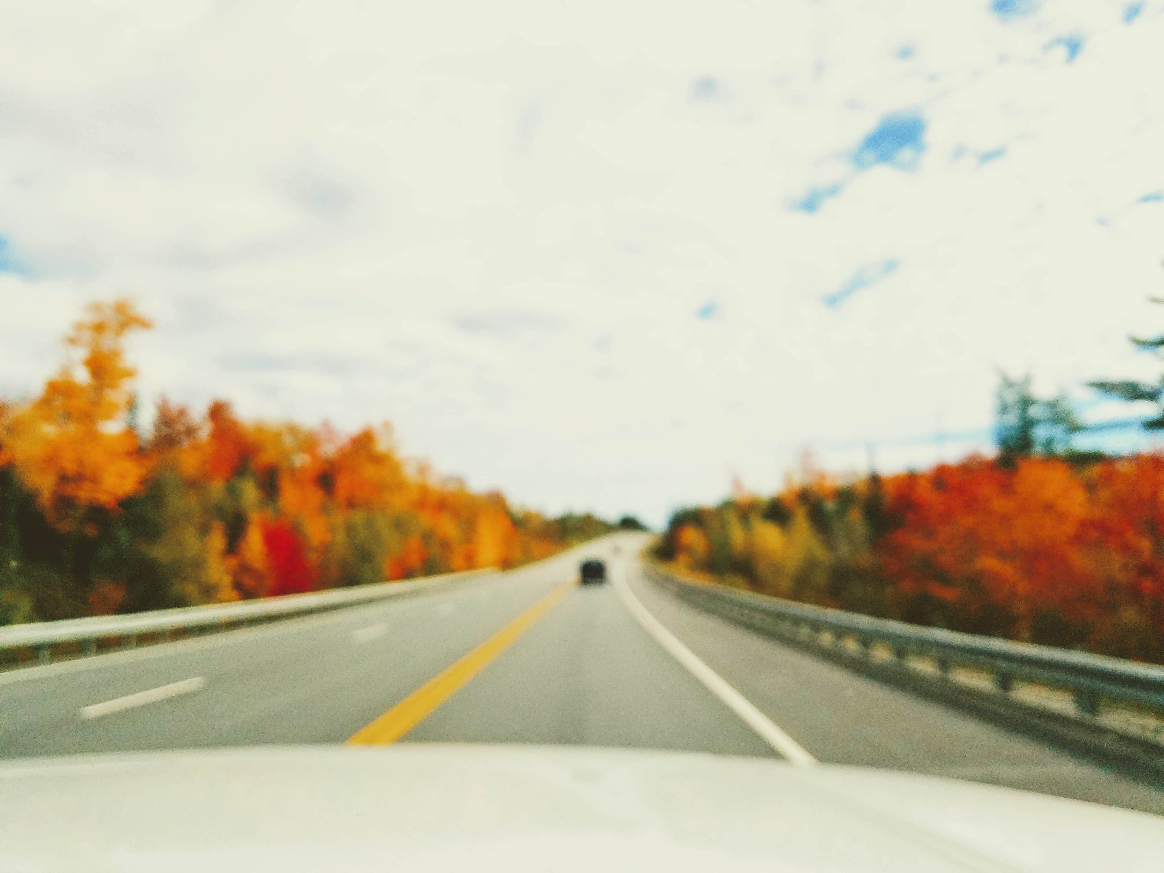 cloud, marking, way, transportation, outdoors, tree, car point of view, mode of transportation, blurry, out of focus, wander, diminishing perspective, land vehicle, HD Wallpaper