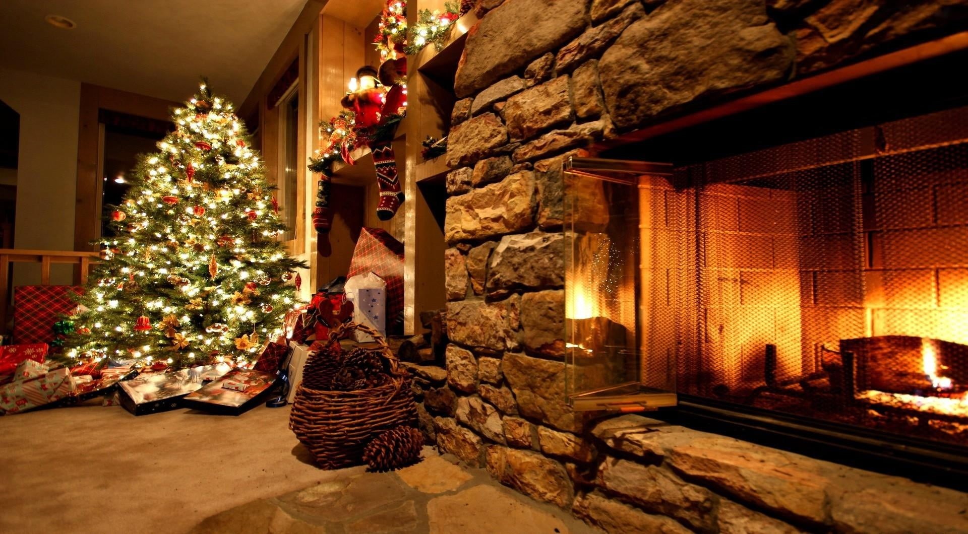 basket, light - Natural Phenomenon, christmas Stocking, christmas Lights, plant, decoration, nature, log Fire, season, night, green, christmas Decoration, HD Wallpaper