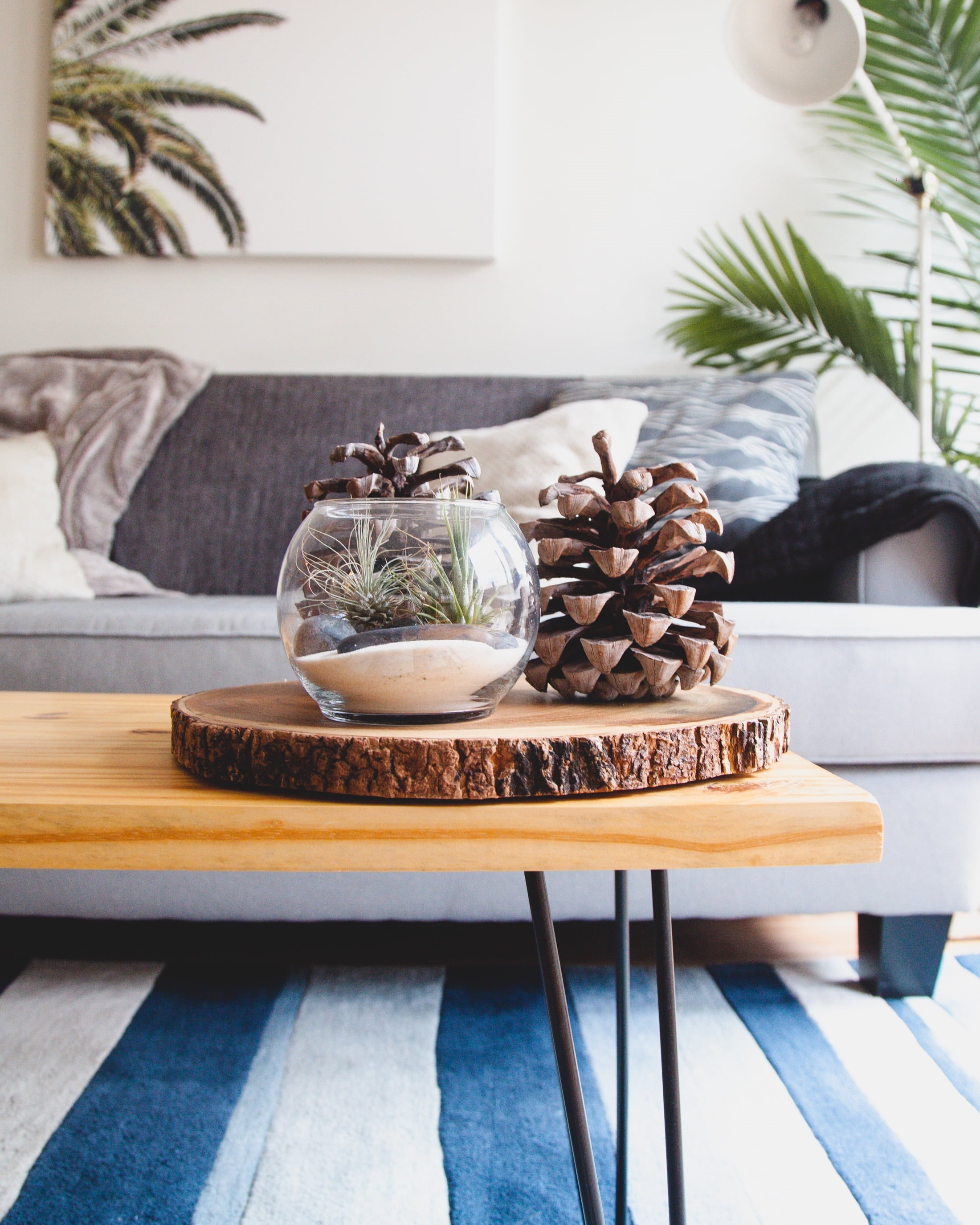 pinecone, decoration, conifer, still life, food, display, day, home Interior, wooden, interior, decor, modern, nature, table, glass, plant, focus on foreground, Phone HD Wallpaper