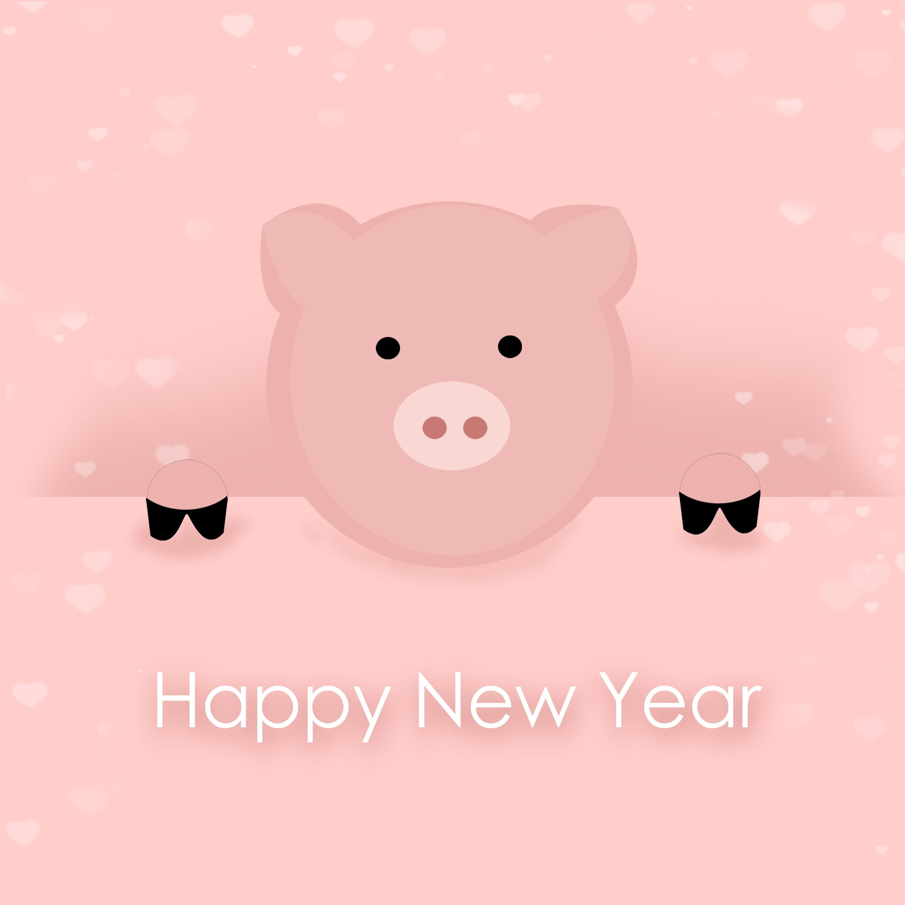 text, celebrate, turn of the year, happiness, indoors, red, lucky charm, colored background, pink color, pig, message, mammal, smiling, representation, Phone HD Wallpaper