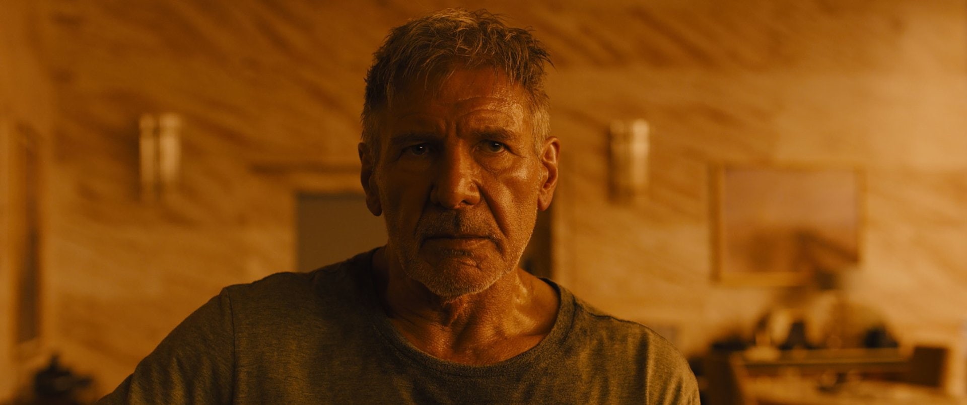 1080P, contemplation, mature men, close-up, men, serious, sadness, portrait, mature adult, hairstyle, one person, copy space, front view, Rick Deckard, HD Wallpaper