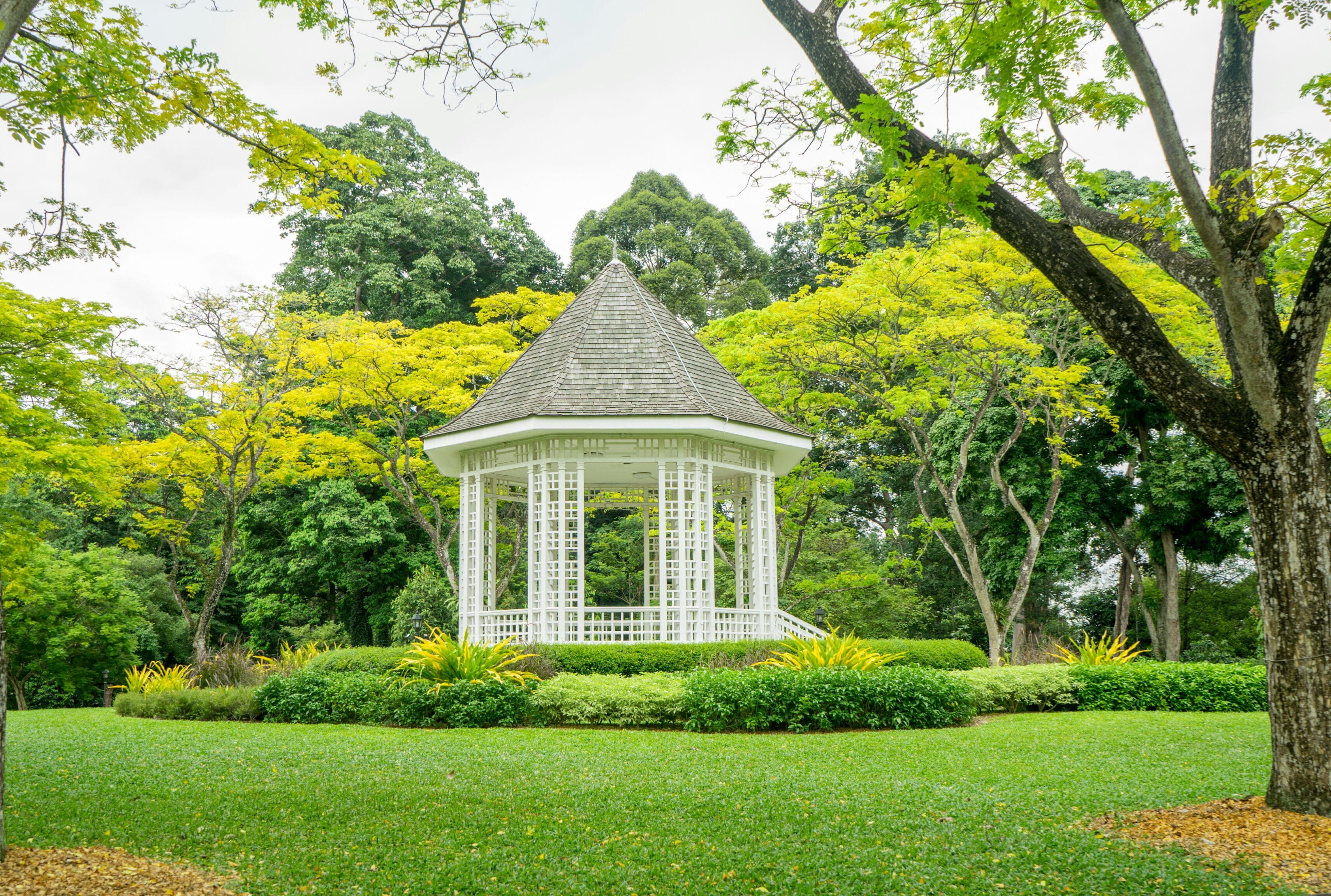 garden path, garden, green color, formal garden, beauty in nature, outdoors, building exterior, front or back yard, hedge, nature, architecture, singapore, HD Wallpaper