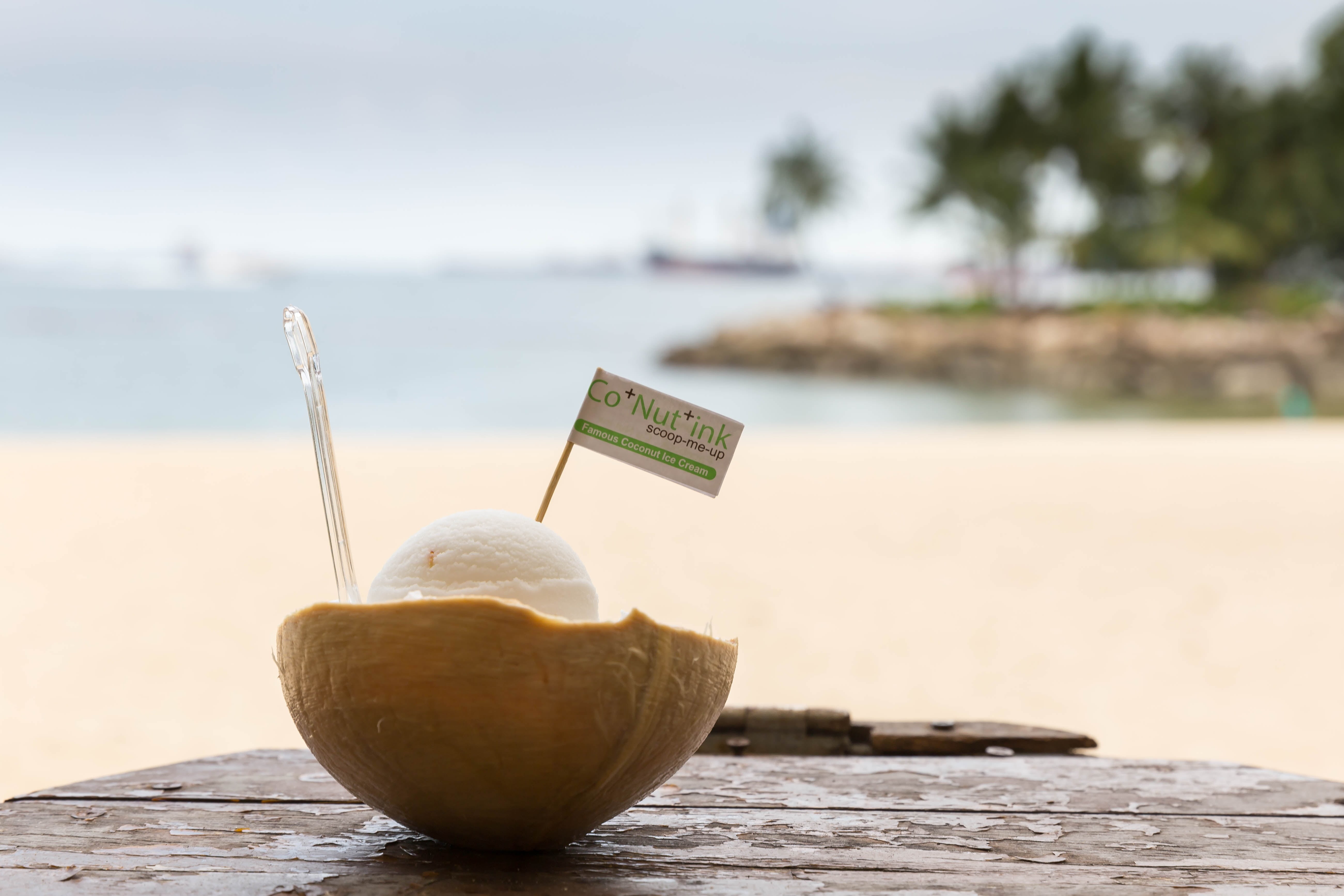 drink, sentosa island, ink, Singapore, Natur, wood, am, Digital Nomad, coffee, nut, relaxation, co, currency, Strand, SG, heiß, Reise, nature, cup, sea, HD Wallpaper