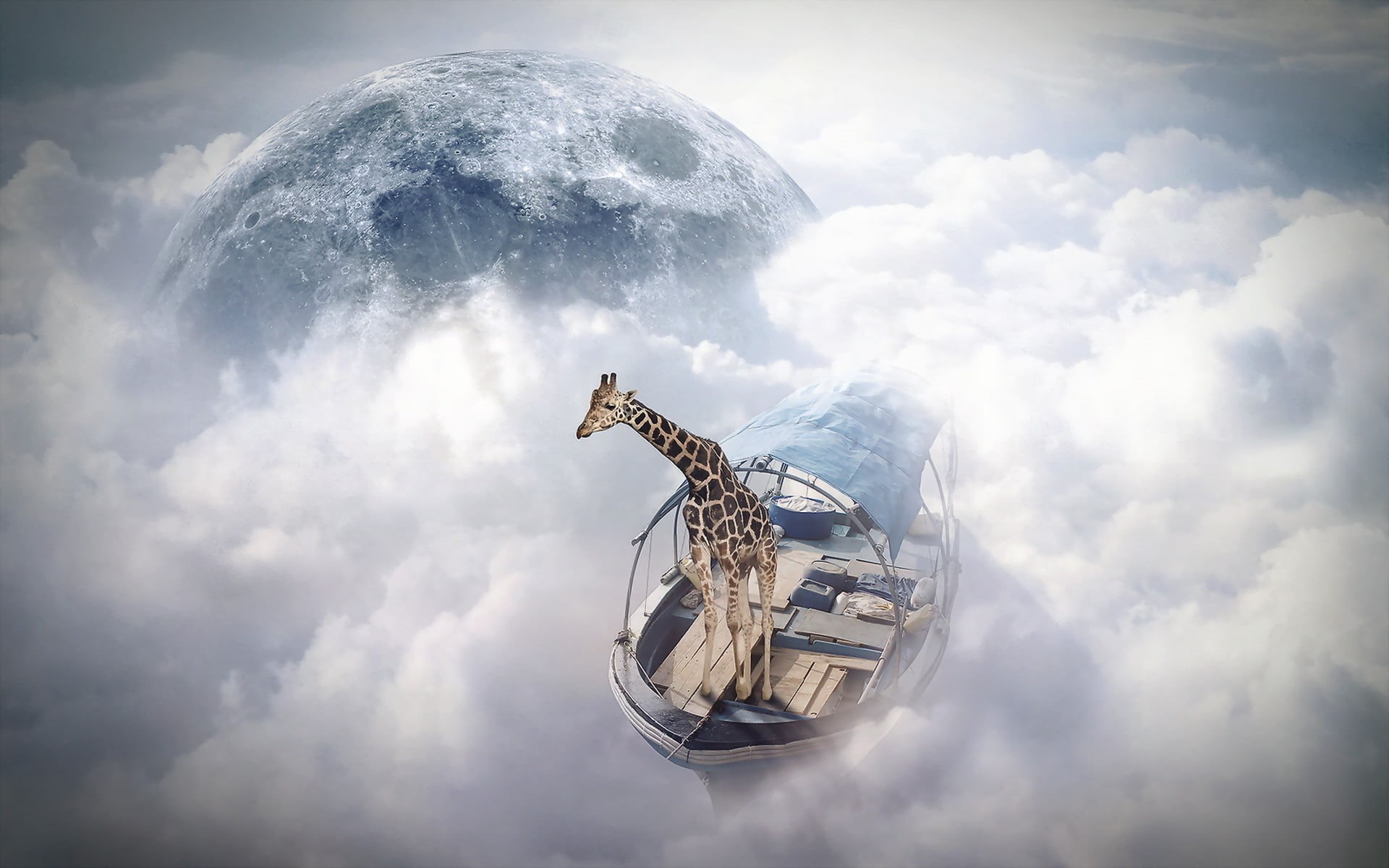 finearts, 1080P, photomanipulation, sky sailor, giraffe, HD Wallpaper