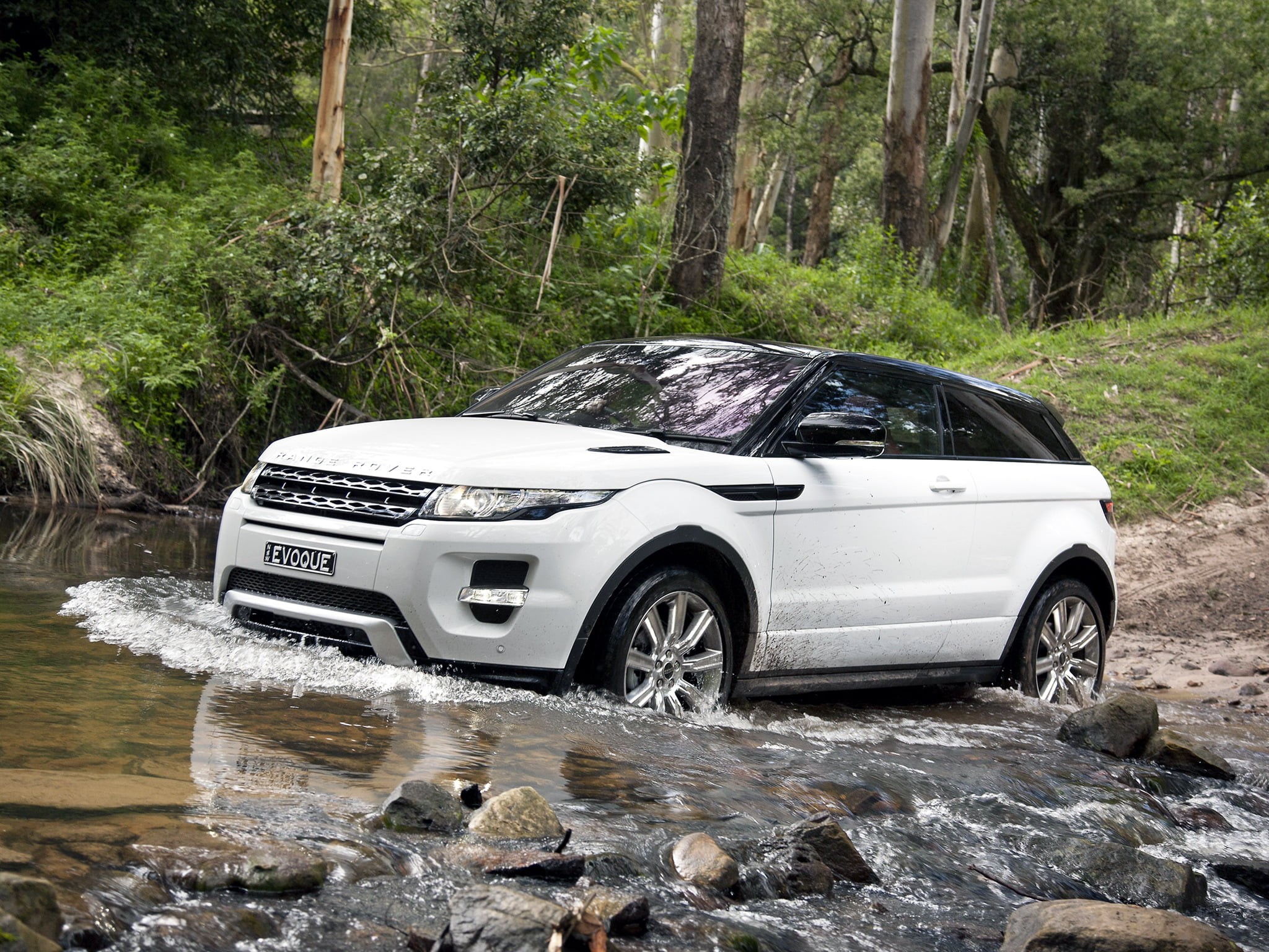 motor Vehicle, sports Utility Vehicle, crossover, dirt Road, car, street, wet, extreme Terrain, forest, transportation, day, jeep, traffic, Land Rover, HD Wallpaper