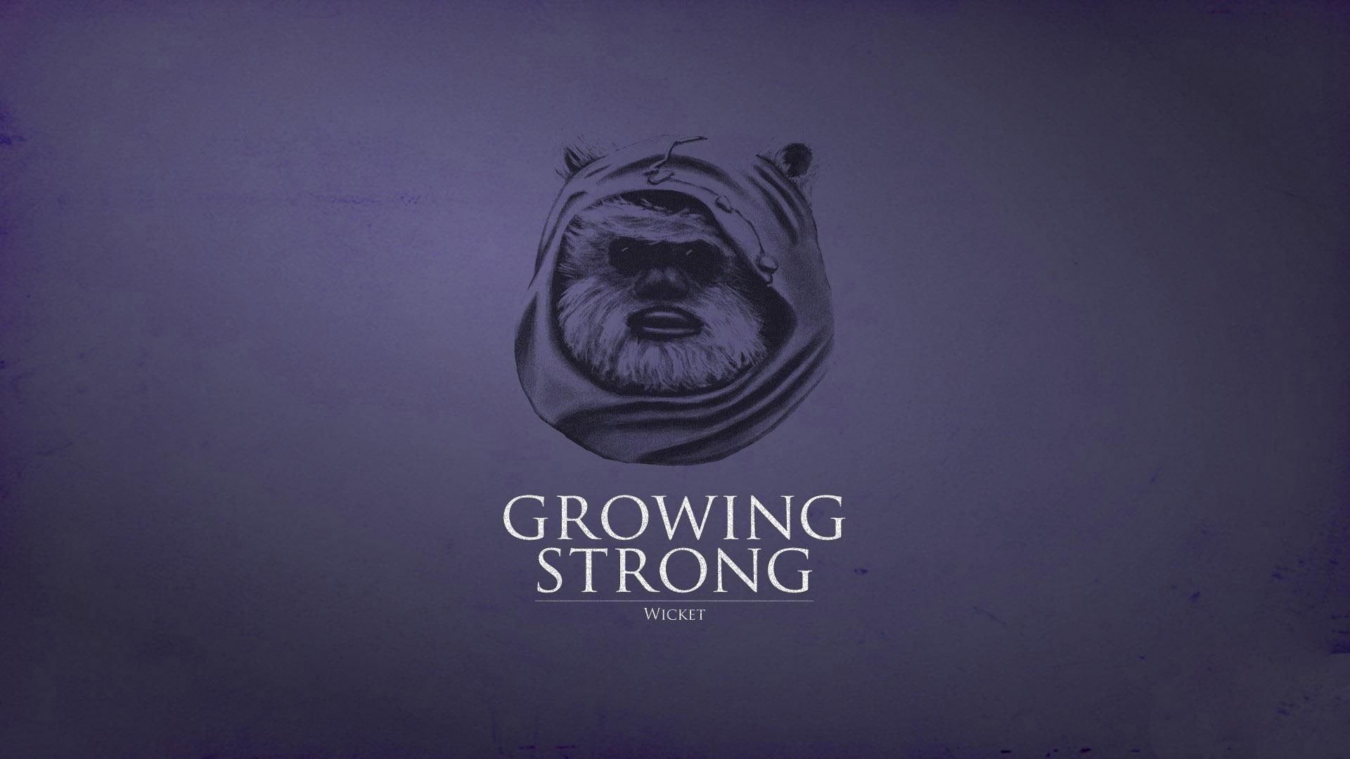 funny, 1920x1080, strong, 1080P, growing, ewok, HD Wallpaper