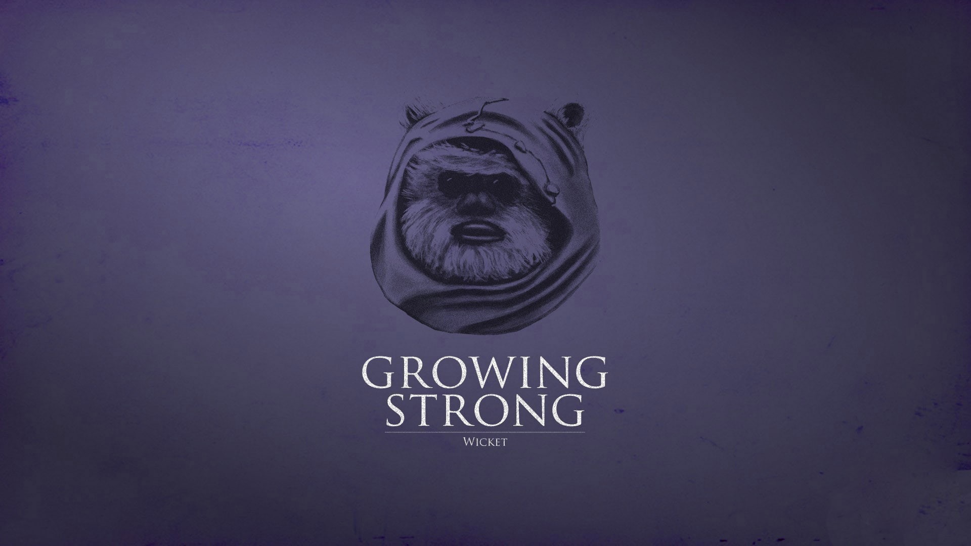 ewok photo, ewok, ewok wicket, Funny, 1920x1080, 1080P, HD Wallpaper