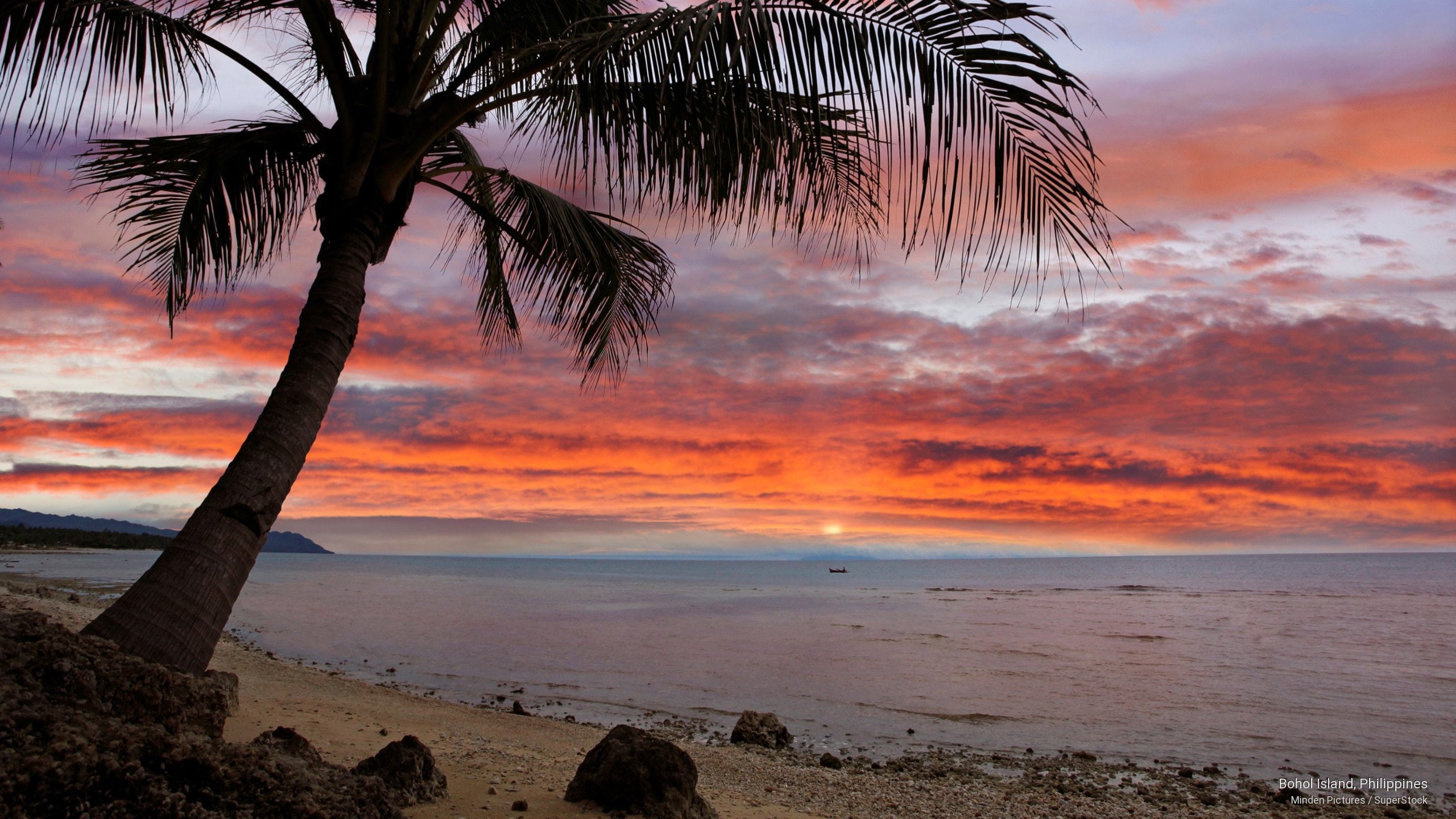 Islands, 2K, island, philippines, bohol, HD Wallpaper