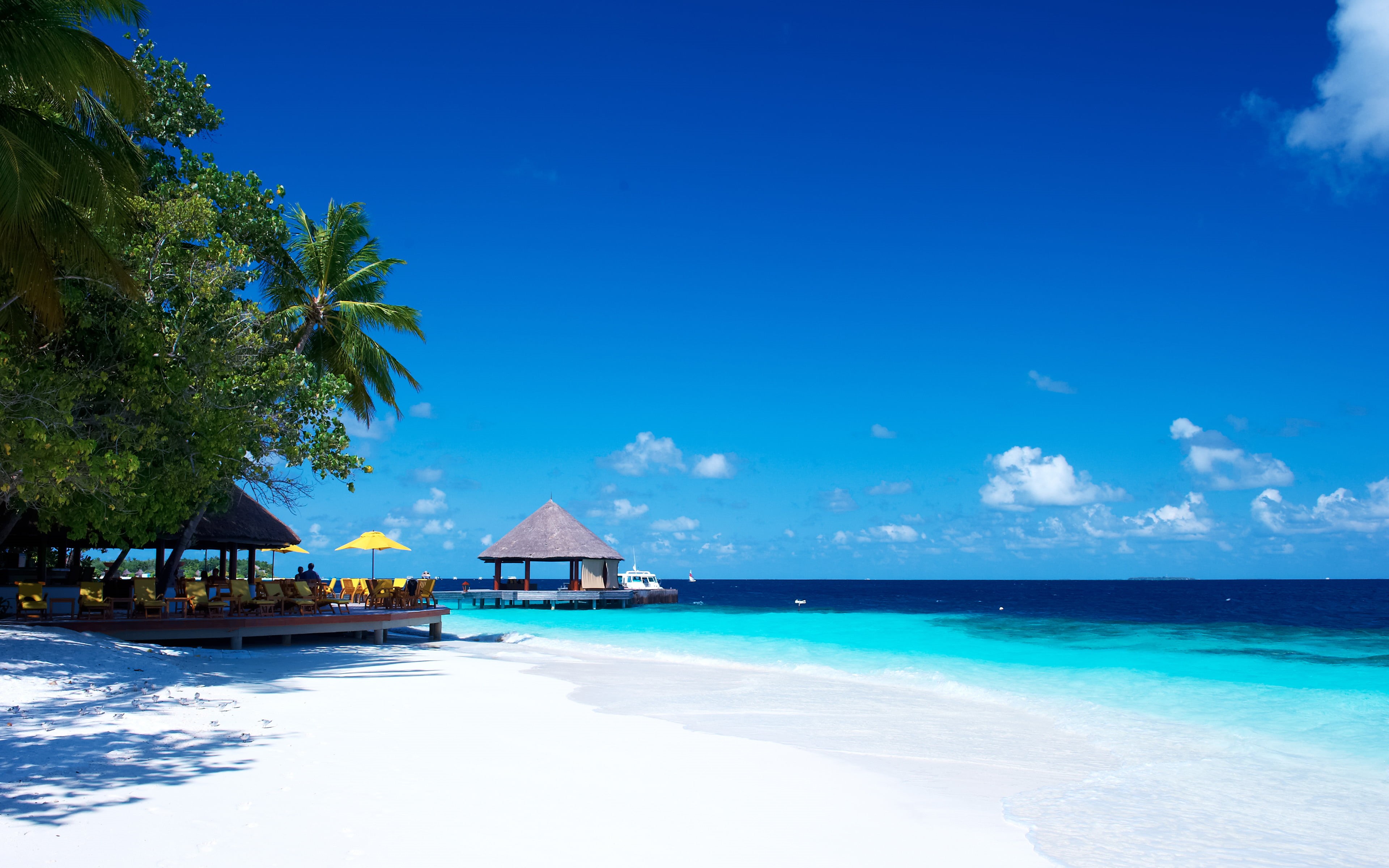 water, beach, sky, ihuru, no people, day, outdoors, plant, maldives, indian, ocean, palm tree, blue, 4K, sea, turquoise colored, hd, island, nature, tropical climate, HD Wallpaper