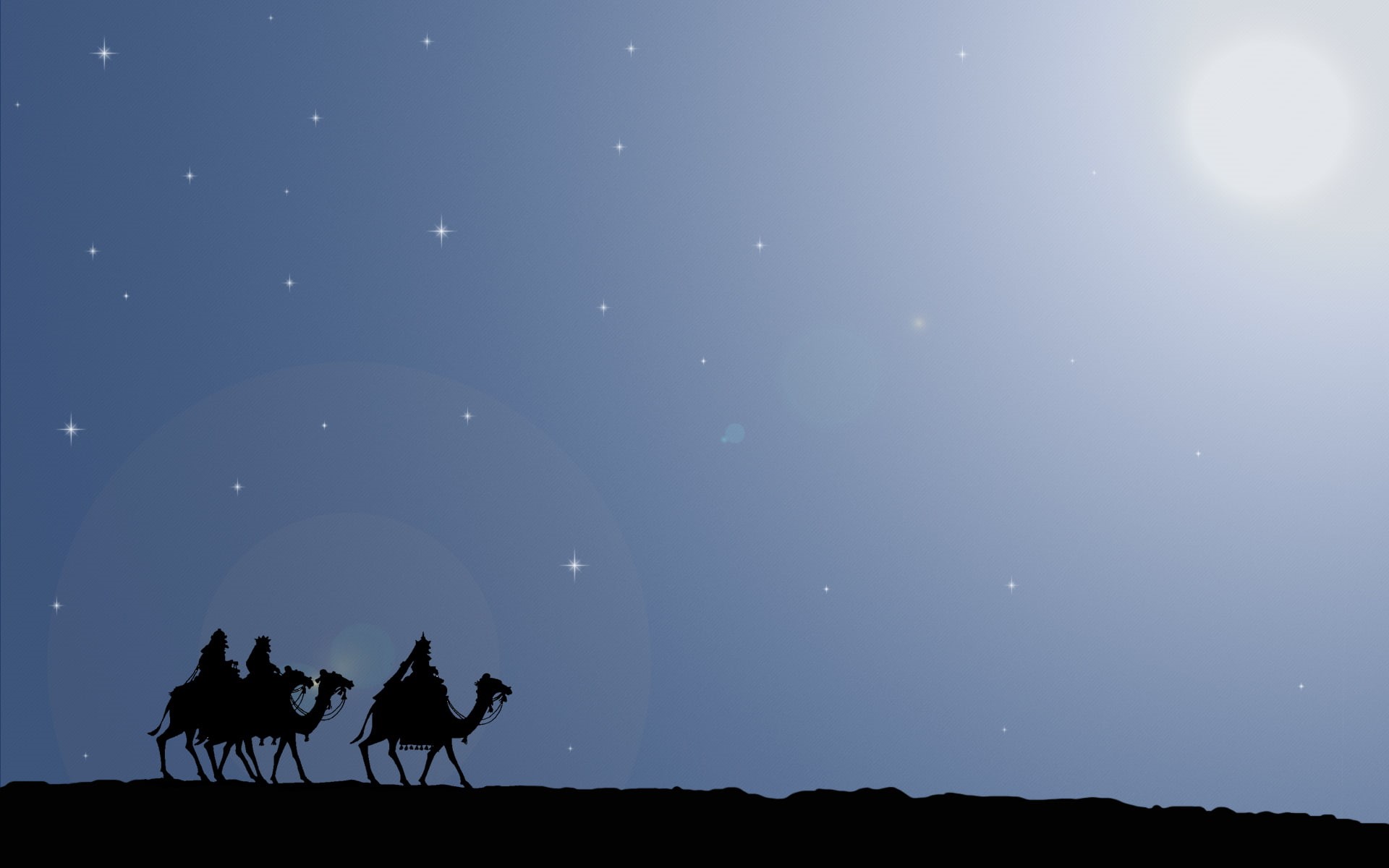 domestic, the way, vertebrate, animal wildlife, star, group of animals, three, star - space, kings, landscape, livestock, Bethlehem, tranquility, outdoors, HD Wallpaper