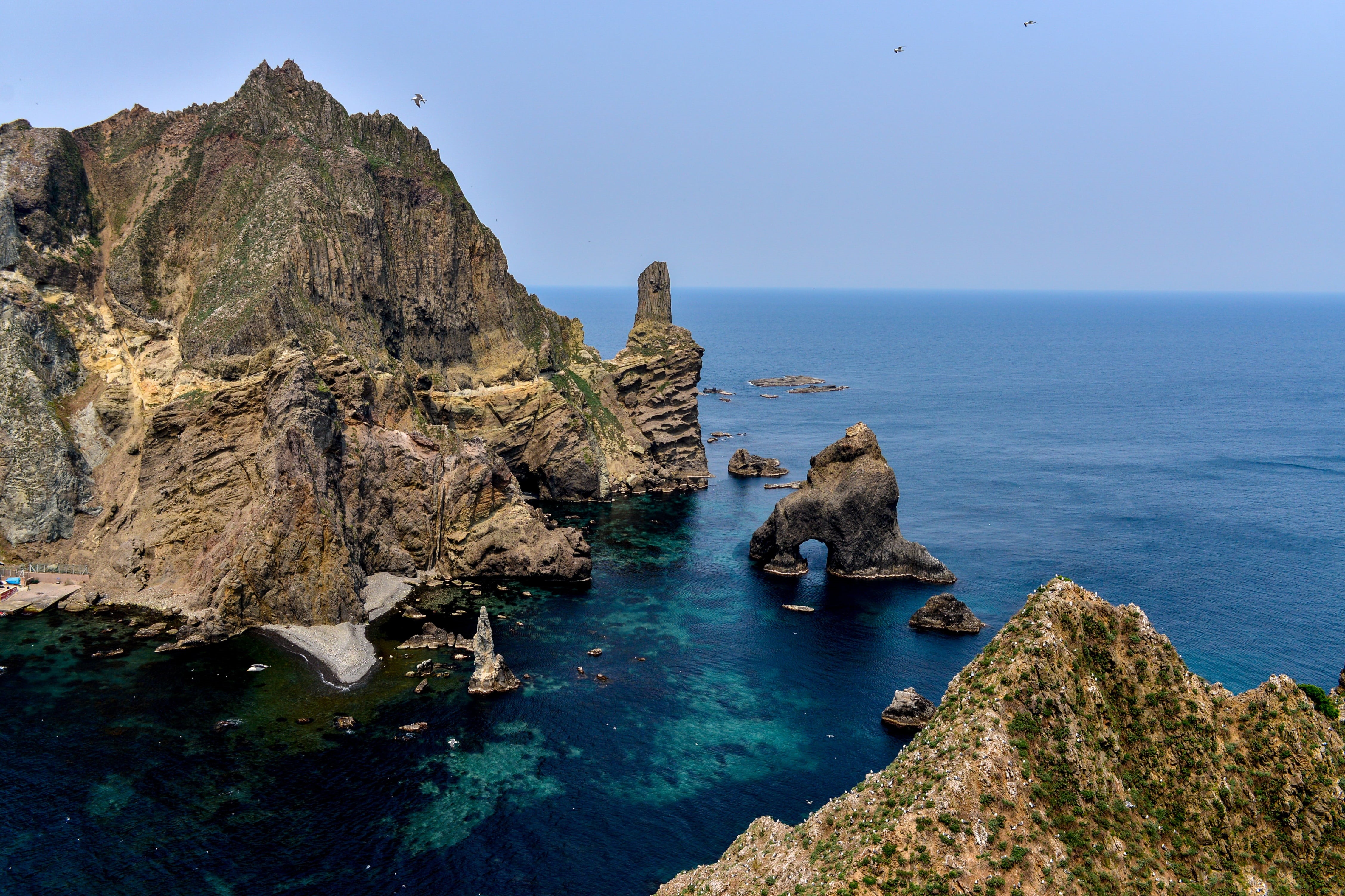 beauty in nature, outdoors, sea lion, seas, even in the, nature, seagull, dokdo, the treasures of dokdo, a beautiful island, scenics - nature, coastline, HD Wallpaper