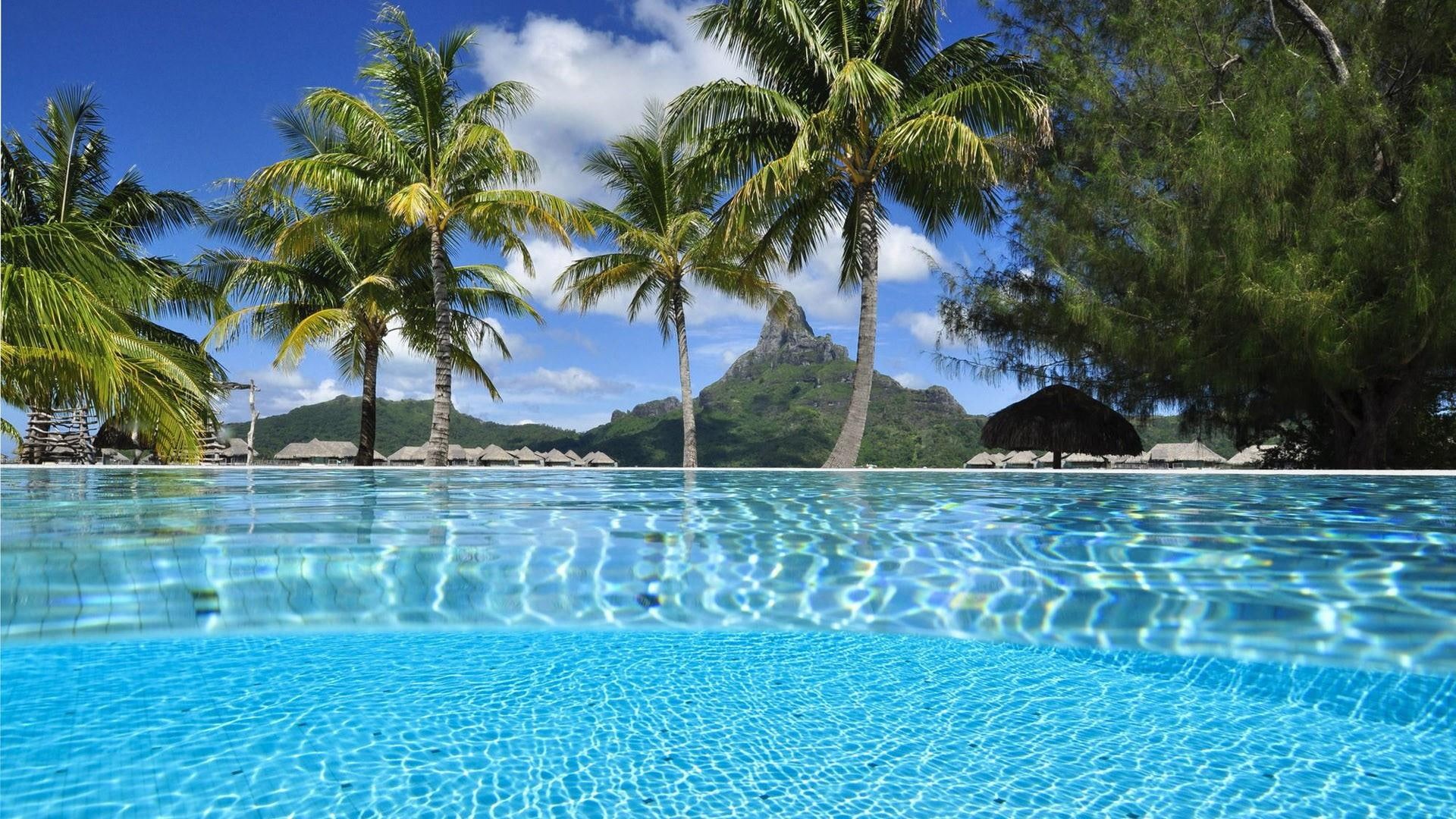 summertime, summer, 1080P, exotic, water, holiday, palms, sea shore, palm tree, HD Wallpaper